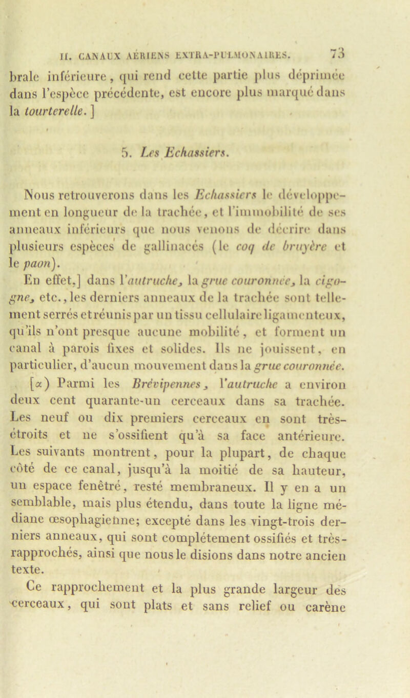 bralc infericure, qiii rend cette parlie plus depriuiee dans I’cspecc precedcnte, est encore plus marque dans la tourtereUe. ] 5. Les Eckassiers. Nous retroLiverons dans les Echassiers le developpe- nient en longueur de la trachee, et riinmohilite de ses anneaux inferieurs que nous venous de dcerir«‘ duns plusieurs especes de gallinaccs (le coq tie bruyhe et le paon). En effet,] dans Yautruche^ \.x grue couronnee^ la cigo- gne^ etc., les deruiers anneaux de la trachee sont telle- ment serres etreunis par uu tissu cellulaireligamenteux, qii’ils n’ont presqiie aucunc mobilite, et torment iin canal ii parols lixes et solides. 11s ne jouissent, en particulier, d’aucun mouvement griiecouromiee, [a) Parmi les Brevipennesj Yautruclic a environ deux cent quarante-un cerceaux dans sa trachee. Les neuf ou dix premiers cerceaux en sont tres- etroits et ne s’ossifient qua sa face anterieure. Les suivants montrent, pour la plupart, de chaque cote de ce canal, jusqu’a la moitie de sa hauteur, un espace fenetre, reste membraneux. II y en a un semblable, mais plus etendu, dans toute la ligne me- diaue oesophagieUne; excepte dans les vingt-trois der- niers anneaux, qui sont completement ossifies et tres- rapproches, ainsi que nousle disions dans notre ancien texte. Ce rapprochement et la plus grande largeur des 'Cerceaux, qui sont plats et sans relief ou carene