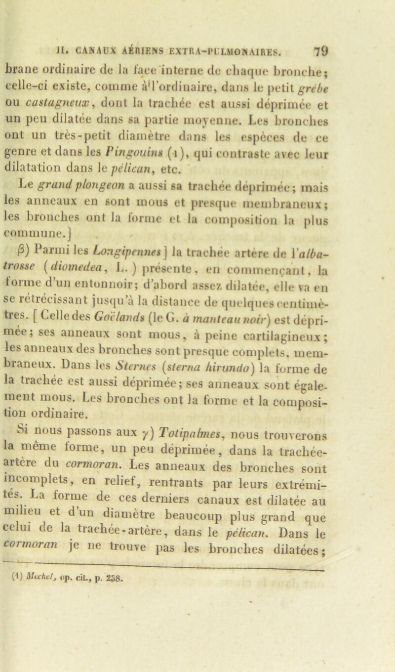 brane ordinaire do la lace interne de eliaqne broiu he; t*elle-ci existe, coniine a'l’ordinaire, dans le petit grebe on caslagneux, dont la trachee est aussi depriinee et un pen dilatee dans sa jiartie inoyenne. J-es bronclies ont un tres-jietit diainetre dans les espeees de ce genre et dans les Pingouiim (i), qui eontraste avee leur dilatation dans \c pelican, etc. Le grandplongeon a anssi sa trachee depriinee; inais les anneaux en sont inous et prescpie ineinbraneux; les bronclies ont la lorme et la composition la plus couunune.J /3) Parini les Longipennet] la trachee artere de Valba- trosse {diomedea, i,. ) presente, en commenvant, la ionne d un entonnoir; d’aboril assex dilatee, elle va en se retrecissant jusipi’a la distance de quelques centime- ties. [ Celle des Goclands (le Cl. a manteau noir) est depri- mee; scs anneaux sont mous, a peine cartilagineux; les anneaux des brooches sont presque complets, inem- braneux. Dans les Stcrncs [sterna hirundo) la forme de la trachee est aussi depriinee; ses anneaux sont egale- inent mous. Les bronclies ont la forme et la composi- tion ordinaire. Si nous passons aux y) Totipalmes, nous trouverons la meme lorme, un peu depriinee, dans la trachee- artcre du connoran. Les anneaux des brooches sont incomplets, en relief, rentrants par leurs extremi- tes. La forme de ces derniers canaux est dilatee au mi ieu et d un diametre beaucoup plus grand que celui de la trachee-artere, dans le pelican. Dans le connoran je ne trouve pas les brooches dilatees; (1) Muhcl, «ip. ciL, p. 258.