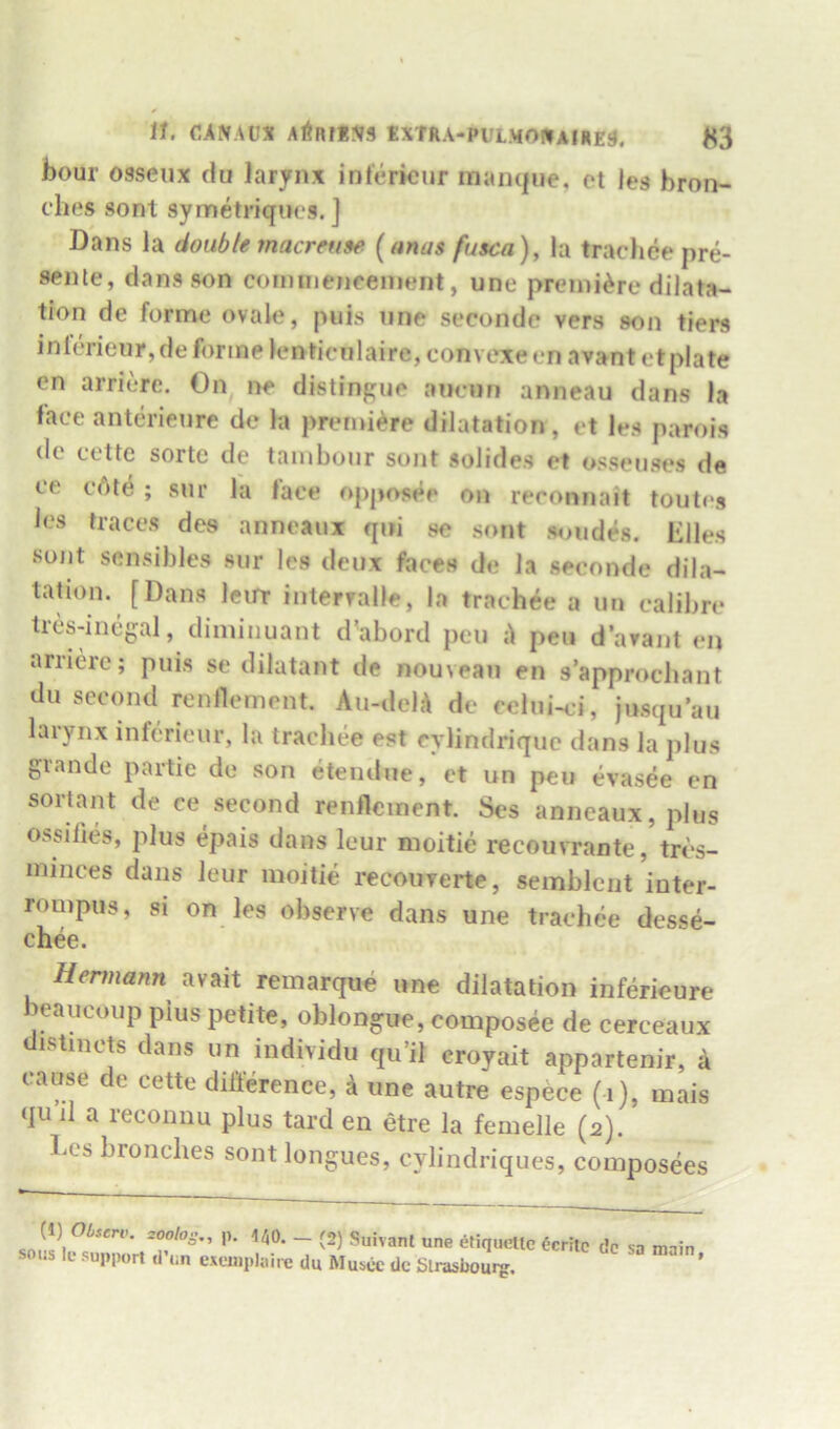 hour ossenx du larynx intericur manque, ot les hron- clifis sont symetriqiK'S. ] Dans la dou^/g macrm»e [anas fusca), la trachee pre- senle, dans son coimnejiceinent, une premiere dilata- tion de forme ovale, puis une secondc vers son tiers inlerieur,de forme lenticulaire, convexe <‘n avant etplate en arri('?re. On ne distingue aueuu anneau dans la lace anterieure de la prenu^re dilatation, et les parois tic cettc sortc tie tauibcjur sont solides et osseuses de ce cote ; sur la lace opposee on reronnait toutes It'S traces des anneaux qui se sont sondes, lilies sujit sensihles sur les deux faces de la seconde dila- tation. [Dans lent intervalle, In trachee a un calibre tresdnegal, diminuant d’abord pen A pen d’arant I'li arriere; puis se dilatant de nouveau en s’approchant du second renllement. Au-delA de eelui-ci, jusquau laiynx inferieur, la trachee est rylindriquc dans la plus grande partic de son eteudue, et un pen evasee en sortant de ce second renncment. Ses anneaux, plus ossifies, plus epais dans leur moitie recouvrante, tres- ininces dans leur moitie recouverte, semblcnt inter- rompus, si on les observe dans une trachee desse- chee. Hermann avait remarque une dilatation inferieure leaucoup plus petite, oblongue, composee de cerceaux distincts dans un individu qu’il croyait appartenir, a cause de cette difference, a une autre espece (i), mais qu a recoimu plus tard en etre la femelle (2). Les bronches sont longues, cylindriques, composees (1) Observ. 200I03., P- -140. — (2) Suivanl sows Ic support d’wn excuiplaire du Musce tic une etiqiiellc ^critc Slrasbourg. tic sa main,