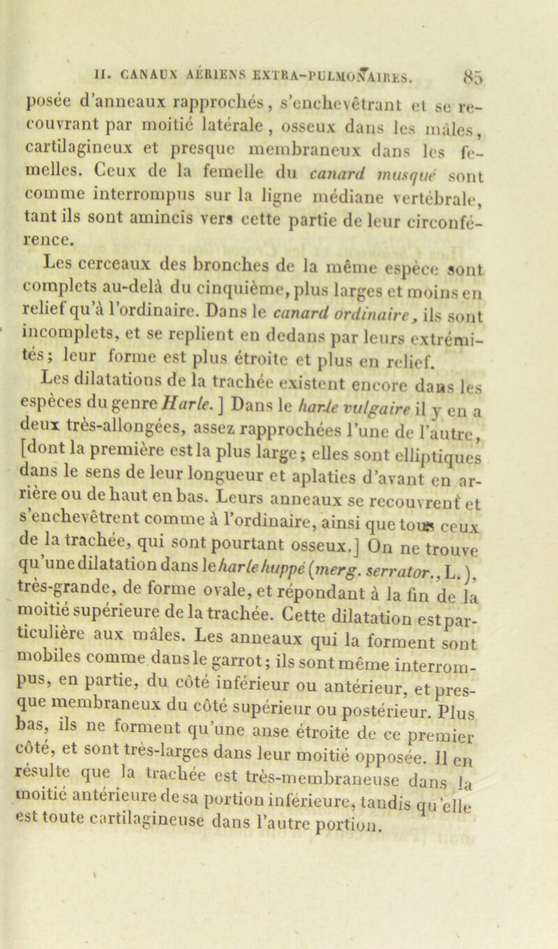 pos(ie danneaux rapproclies, s’onchevetrant el se re- couvrant par nioitic laterale , osseux dans les males, cartilagineux et presque membraneiix dans Ics fc- inelles. Ccux de la feinelle du canard mmque sont comme intcrrompns sur la ligne inediane vertebrale, tant ils sont amincis vers cette partie de leiir circonfe- rence. Les cerceaux des bronches de la m^me espece sont complets au-delA du cinqui^me, plus larges et moinsen relief qu i\ 1 ordinaire. Dans le canard ordinaire, ils sont incomplets, et se replient en dedans par leurs cxtrenii- tes; leur forme est plus etroite et plus en relief. Les dilatations de la trachee existent encore daus les especes du genre Harle. ] Dans le harde vulgaire il y en a deux tr^s-allongees, assez rapprochees I’une de I’autre, [dont la premiere est la plus large; elles sont elliptiques dans le sens de leur longueur et aplaties d’avant en ar- riere ou de haut en bas. Leurs anneaux se recouvrcnt et s’encbevetrent comme a I’ordinaire, ainsi que toufi ceux de la trachee, qui sontpourtant osseux.j On ne trouve qu unedilatation dans l^harlehuppe {inerg. serrator., L. ], tres-grande, de forme ovale, et repondant a la fin de la moitiesuperieure de la trachee. Cette dilatation estpar- ticuhere aux males. Les anneaux qui la forment sont mobiles comme daus le garrot; ils sont meme interrorn- pus, en partie, du cote inferieur ou anterieur, et pres- que membraneux du cote superieur ou posterieur. Plus bas, ils ne forment qu’une ause etroite de ce premier c6te, et sont tres-larges dans leur moitie opposee. 11 en resulte que la trachee est tres-membraneuse dans la moitie anterieure desa portion inferieure. tandis quelle esttoute cartilagineuse dans Tautre portion.