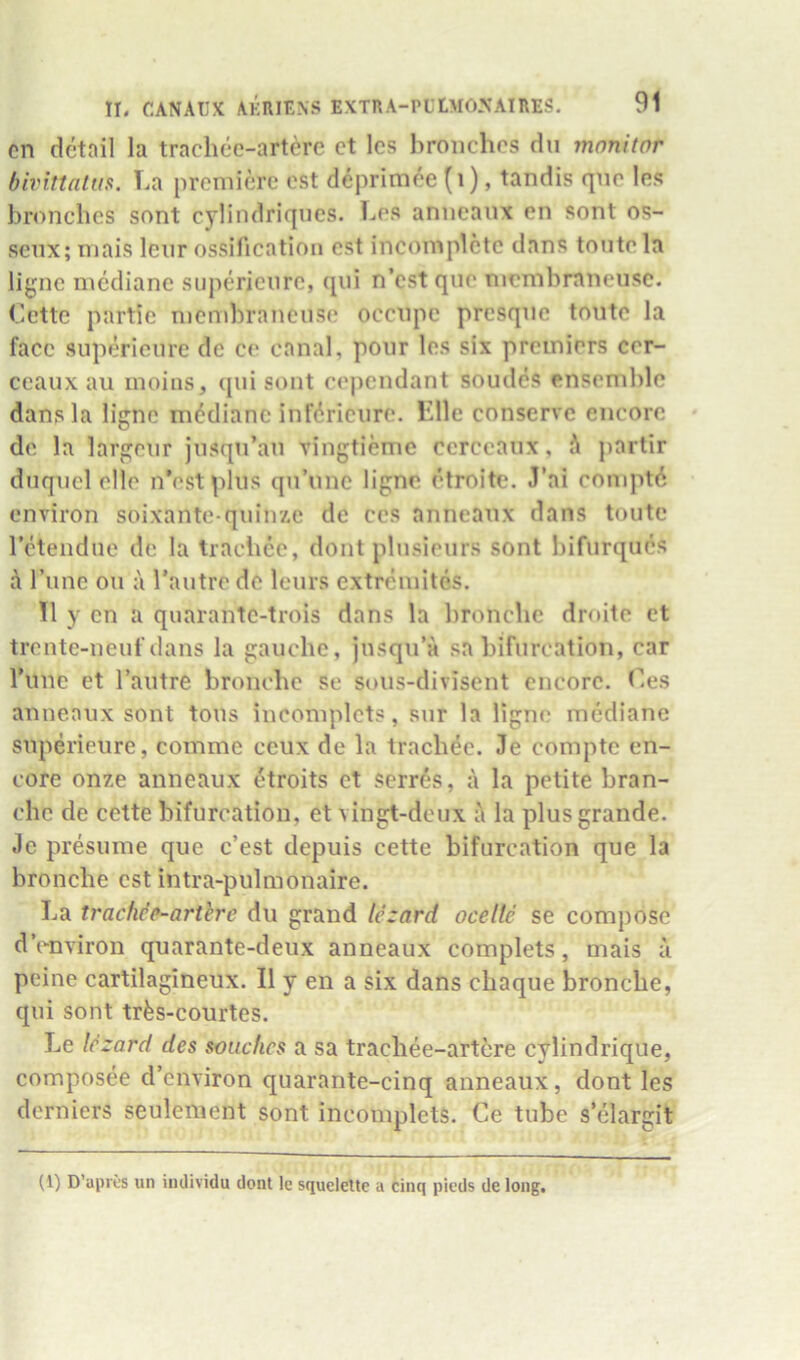 cn dctnil la trachec-art^re ct Ics bronchos du monitor bivittatfis. La premiere est deprimee (i), tandis quo les bronches sont cylindriqnes. Les aniieanx en sont os- seux; mais leiir ossification est incomplete dans tontela ligne medianc superieiire, qiii n’est qiic niembraneiisc. Cette partie membraneuse ocenpe presque toutc la face supericure do ce canal, pour les six premiers cer- ceaux au inoinSj ([ui sont cependant soudes ensemble dans la ligne m6diane infdricnre. Llle conserve encore de la largenr jnsqn’an vingtiemc ccrceaux, partir dnqncl elle n’est plus qn’nne ligne etroite. J’ai comptd environ soixante-qiiinze de ccs anneanx dans toutc retendue de la traclice, dont plusieurs sont bifurques d I’line oil a I’aiitre de leurs extremites. II y en a quarantc-trois dans la bronebe droite ct trente-neuf dans la gauebe, jusqu’a sa bifurcation, car I’unc et I’autre bronebe se sous-divisent encore, Ces anneanx sont tons incomplcts, sur la ligne mediane snperieure, comme ceux de la tracbee. Je compte en- core onze anneaux etroits et serr6s, a la petite bran- ebe de cette bifurcation, et vingt-deux d la plus grande. Jc presume que e’est depuis cette bifurcation que la bronebe est intra-pulmonaire. La trachde-arthre du grand lezard ocellc se compose dVnviron quarante-deux anneaux complets, mais a peine cartilagineux. II y en a six dans ebaque bronebe, qui sont trfes-courtes. Le lezard des soiichcs a sa tracbee-artire cylindrique, composee d’environ quarante-cinq anneaux, dont les derniers seulement sont incomplets. Ce tube s elargit (1) D’apri;s un iudividu dont le squelette a cinq pieds de long.