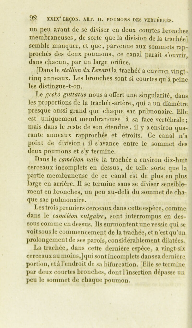un peu avant de se diviser en deux courtes bronches membraneuses, de sorte que la division de la trachee] semble manquer, et que, parvenue aux sommets rap- proches des deux poumons, ce canal parait s’ouvrir, dans chacun, par un large orifice. [Dans le stellion du Levant la trachee a environ vingt- cinq anneaux. Les bronches sont si courtes qu a peine les distingue-t-on. Le gecko guttatus nous a offert une singularite, dans les proportions de la trachee-artere, qui a un diametre presque aussi grand que chaque sac pulmonaire. Elle est uniquement membraneuse a sa face vertebrale; mais dans le reste de son etendue, il y a environ qua- rante anneaux rapproches et etroits. Ce canal n’a point de division ; il s’avance entre le sommet des deux poumons et s’y termine. Dans le cameleon nain la trachee a environ dix-huit cerceaux incomplets en dessus, de telle sorte que la partie membraneuse de ce canal est de plus en plus large en arriere. Il se termine sans se diviser sensible- ment en bronches, un peu au-dela du sommet dc cha- que sac pulmonaire. Les trois premiers cerceaux dans cettc espece, comme dans le camileon vulgaire, sont interrompus en des- sous comme en dessus. Ils surmontent une vessie qui se Toitsous le commencement de la trachee, et n’est qu’un prolongeincntde ses parois, considerablcment dilatees. La trachee, dans cette derniere espece, a vingt-six cerceaux au moins,]qui sont incomplets dans sa derniere portion, et ii I’endroit dc sa bifurcation. [Elle sc termine par deux courtes bronches, dont I’inscrtion depassc un peu le sommet dc chaque poumon.