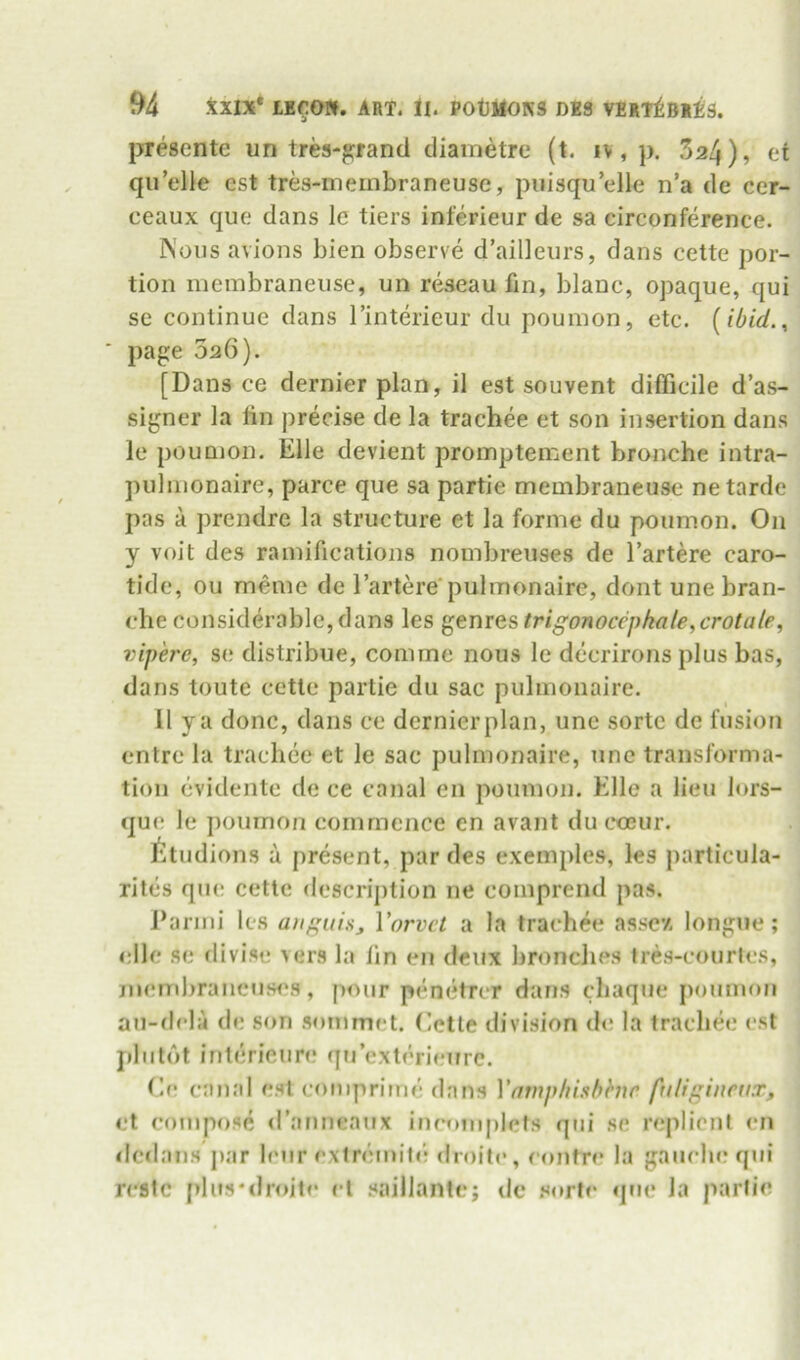 presente un tres-^rand cliametre (t. i>, p. 324), ei qu’elle est tres-meinbraneuse, piiisqu elle n’a de cer- ceaux que dans le tiers inferieur de sa circonference. INous avions bien observe d’ailleurs, dans cette por- tion membraneiise, un reseau fin, blanc, opaque, qui se continue dans I’interieur du poumon, etc. {ibid., ' page 526). [Dans ce dernier plan, il est souvent difficile d’as- signer la lin precise de la trachee et son insertion dans le poumon. Elle devient promptement bronche intra- pulmonaire, parce que sa partie membraneuse netarde pas a prendre la structure et la forme du poumon. On y voit des ramifications nombreuses de I’artere caro- tide, ou meme de rarterepulmonaire, dont une bran- che considerable, dans les genres trigonocepkale,crotale, vipere, se distribue, comine nous le decrirons plus bas, dans toute cette partie du sac pulmonaire. II ya done, dans ce dernierplan, une sortc de fusion entre la trachee et le sac pulmonaire, une transforma- tion evidente de ce canal en poumon. Elle a lieu lors- que le poumon commence en avanl du coBur. Studious a present, par des exemples, les particula- xites qiie cette description ne comprend pas. Parmi les aiiguisj Vorvet a la trachee assev. longue; elle se divise vers la tin en deux bronches Ires-courles, mendiraneuses, pour penetn r dans cliaque poumon au-del:i de son sommet. (lette division d<* la trachee est pliitdt iriterieure qu’exteriinrrc. Ce canal est comprime dans Vfiwplihbhr fuligineux, el compose d’anneaux ineoniplefs qni se replienl en dedans juir lour exiremiti* drolt»*, eontre la gauche qui restc plus'droile el saillantej dc .lorte que la parlie