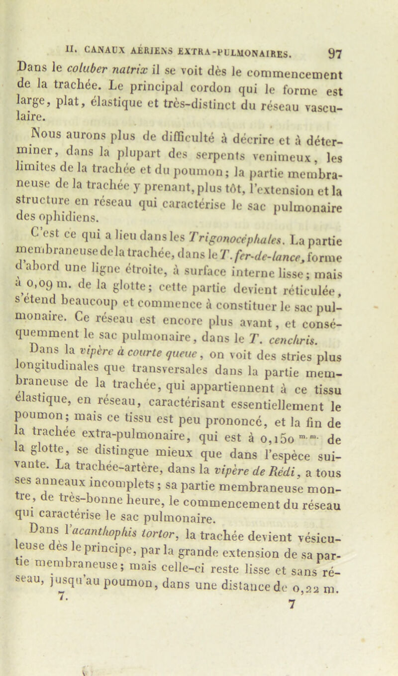 Dans le coluber nalrix il se voit d^s Je commencement de Ja trachee. Le principal cordon qui le forme est large, plat, elastique et trcs-distinct du reseau vascu- laire. Nous aurons plus de difljculte k decrire et k deter- miner, dans la plupart des serpents venimeux, les hmites de la trachee et du poumon; la partie membra- neuse de la trachee y prenant,plus tAt, rextension et la structure en reseau qui caractfee le sac pulmonaire des ophidiens. C est ce qui a lieu dans les Trigonocepkales, La partie menibraneusedelatrachee,dans \^T. fer-de-lanceJonne dabord une ligne etroite, a surface interne lisse; mais a 0,09 m. de la glotte; celte partie devient reticulee, s etend beaucoup et commence a constituer le sac pul- monaire. Ce reseau est encore plus avant, et conse- quemment le sac pulmonaire, dans le T. cenchris. Dans la viphrc d courte queue, on voit des stries plus longitudinales que transversales dans la partie mem- braneuse de la trachee, qui appartiennent a ce tissu elastique, en reseau, caracterisant essentiellement le poumon; mais ce tissu est peu prononce, et la fin de a trachee extra-pulmonaire, qui est a o,i5o” ”- de la glotte, se distingue mieux que dans I’espece sui- vante. La trachee-artere, dans la vipere deRedi, a tons ses anneaux incomplets ; sa partie membraneuse mon- tre, de tres-bonne heure, le commencement du reseau qui caracterise le sac pulmonaire. Dans Yacantkopkis tortor, la trachee devient vesicu- euse es e principe, par la grande extension de sa par- tie membraneuse; mais celle-ci reste lisse et sans re- seau, lusqu’au poumon, dans une distance de o aa m 7. „ ’ ’
