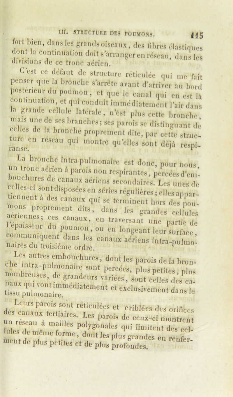fori bien, danslrs grandsoiscaiix, des fibres elaslinucs dont la contmualior, doit s’arrangereii reseaii, dances divisions du cc tronc acricn. C'est ce dcfaiit de structure reticulce qui me fait penscr que la brouebc s’arrdtc avaut d'arriver au bord posteneur du poumou, et que le caual qui cn cst la euutmuatiou et qui conduit inimcdiatemeut lair daus la grande cellule laterale, n’est plus cetle bronebe' mats une do ses brauebes; ses parois se disliuguant de tclles de la bronebe prnpremeui dite, par celtc struc- La brnuebe intra-pubnonaire est done, pour nous un roue aerien il parois non respirantes, pereeesd'em’- eXs d Les unes de tiennont i de * regulif.res; elles appar- t ennent a des eanauit qui se terininent bors des nou- nions proprement dits, dans les grandes cellules aeiiennes; ces canaux, en Iraversaut une partie de epaisseur du pounion, on en longeant leur^surfaee nombreuses, de grandeurs variees, siint eelles dcs ci acs canaux lertiaires. Les parois de ceux-ci montrent un reseau a mailles polygonalos qui limileut des cx b es de mame forme .dont les plus grandes en ren e uirlit de plus petites et de plus profondes.