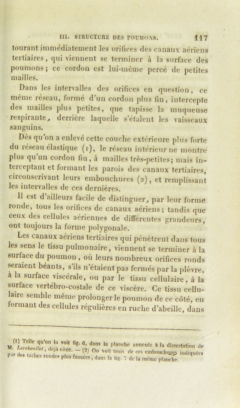 toiirant iuimediatement les onTu-es des canaux aeriens tertiaires, qui viennent se terminer a la snrl'ace des poumons; ce cordon est lui-incme perce de petites mailles. Dans les intervalles des orifices en question, ce mcmc reseau, forme d’un cordon plus fin, iutercepte des mailles plus petites, que tapisse la muqueuse respirantCj derriere laquelle s etalcnt les vaisscaux sauguins. Des qu on a enleve cette couche exterieure plus forte du reseau elastique (i), le reseau iiiterieur iie montn? plus qu un cordon lin, ji mailles tr^s-petites; mais in- terceptant et formant les parois des canaux tertiaires, circonscrivant leurs embouchures (2), et remplissaiit les intervalles de ces dernieres. 11 est d ailleurs facile de distinguerj par leur forme ronde, tons les orifices de canaux aeriens; tandis que eeux des cellules aeriennes de dilTerentes grandeurs, ont toujours la forme polygonale. Les canaux aeriens tertiaires qui penetrent dans tons les sens le tissu pulmonaire, viennent se terminer a la surface du poumon , ou leurs nombreux orifices ronds seraient beants, s’ils n’etaientpas fermes par la plevre, a la surface viscerale, ou par le tissu cellulaire, a la surface vertebro-costale de ce viscere. Ce tissu cellu- laire semble meme prolonger le poumon de ce cote, en formant des cellules reguli^rcs en ruche d abeille, dans M Lrll . - anncx^c Sla dissertation de M Lc,«,.,iejac.(ee.-(2) On veil trois de ces embouduues indiqueeg pjr des tacbes rondes plus foncees, dans la lig. 7 de la m^me plan^h^.