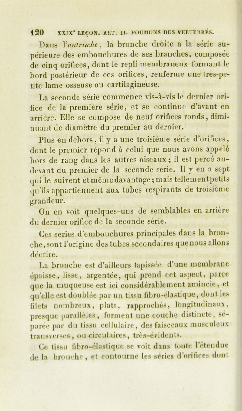 Dans Vautruche, la bronche droite a la serie su- perieure des embouchures dc ses branches, coinposee de cinq orifices, dont le repli membraneux formant Ic bord posterieur de ces orihces, renferme unetres-pe- tite lame osseuse ou cartilagineuse. La seconde serie commence vis-i-vis le dernier ori- fice de la premiere serie, et se continue d’avant en arrierc. Elle se compose de neuf orifices ronds, dimi- nuanlde diametre du premier au dernier. Plus en dehors, il v a une troisieme serie d’orifices, dont le premier repond a celui que nous avons appele hors de rang dans les autres oiseaux; il est perce au- devant du premier de la seconde serie. 11 y en a sept qui le suivent et memedavantage; mais tellementpetits qu’ils appartiennent aux tubes respirants de troisieme grandeur. On en voit quelques-uns de semblables en arricre du dernier orifice dc la seconde serie. Ces series d’cmbouchures principals dans la broii- che,sont Poriginc des tubes secondaires que nous allons dccrirc. ha bronche est d’ailleurs tapissee d’une membrane epaisse, lisse, argentee, qui prend cet aspect, jiarce que la inuqueuse est ici considerablement amiucic, et qu’elle est doublee par uii tissu lihro-elastique, dont les filets nombreux, plats, rapproches, lOngitudinaux, presque parallelcs, forment une couche distincte, sc- paree par du lissu cellulaire, des faisccaux musculcux transvcrscs, ou circulaires, tres-evidents. Ce tissu libro-cliistiquc sc voit dans toufi; retcudue (le la brom hc , et contourne les scries dorifices dont