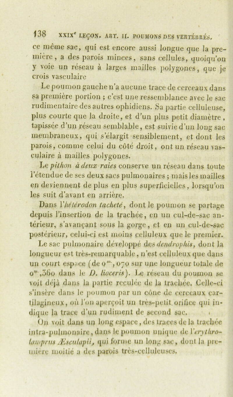 cc ineine sac, qui est encore aussi longue que la pre- miere , a des parois minces, sans cellules, quoiqu’ou y vole un reseau a larges mailles polygoncs, que je crois vasculaire Le poumon gauche n'a aucune trace de cerceaux dans sa premiere portion ; c’est une ressemhlance avec le sac rudimentaire desautres ophidiens. Sa partie celluleuse, plus courte que la droite, et d’un plus petit diametre , tapissee d’un reseau semblable, est suivied’un long sac membraneux, qui s elargit sensiblement, et dont les parois, coinme celui du cote droit, ont un reseau vas- culaire a mailles polygones. Le pillion a deux rates conserve un reseau dans toute I’etendue de ses deux sacs pulmonaires ; mais les mailles en deviennent de plus en plus superlicielles , lorsqu'on les suit d’avant en arriere. Dans Vhclerodon tachete, dont le poumon se partage depuis Tinsertion de la trachee, en un cul-de-sac an- terieur, s’avancant sous la gorge, et en un cul-de-sac posterieur, celui-ci est moins celluleux que le premier. Le sac pulmonaire dcveloppe 6.1^6 dcndropkis, dont la longueur est tres-remarquablc, n’est celluleux que dans un court espace (de o‘, 070 sur ujie longueur totale de o' ,56o dans hi D. lioceris). l^e n'lseau du poumon se voil dcja dans la [)arlie reculee de la trachee. Cclle-ci s’inscre dans le poumon par un cone de cerceaux car- lilagineux, on Ton apervoit un tres-pelil. orilice qui in- diqiie la trace d’un rudiment de second sac. • On voit dans un long cspace, des traces de la trachee inlra-j)ulinonaire, dans le jxmmon unicjue de Verylhro- Uiwprus /Esculupiij qui forme nn long sac, donl la pre- miere moilic a des parois trcs-celluleuses.
