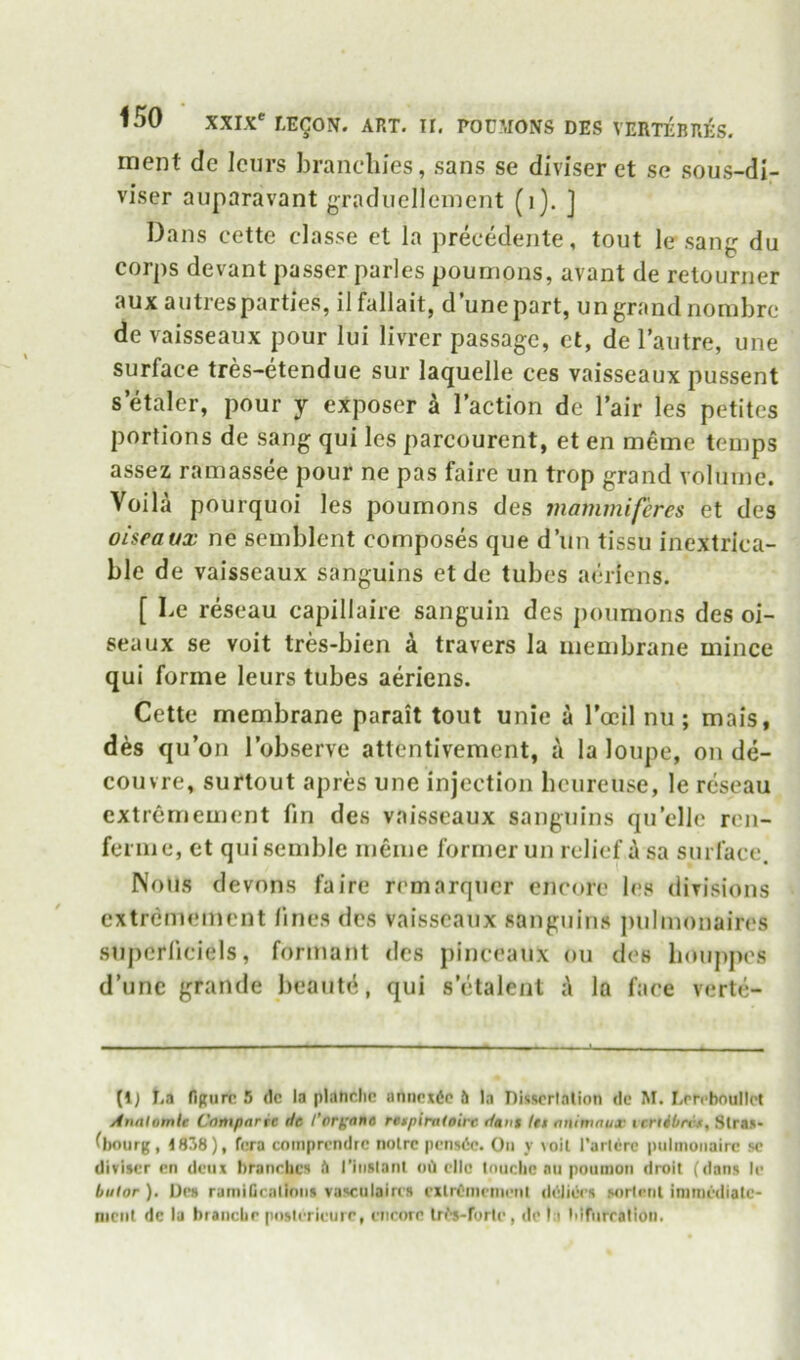 ment dc Icurs branclu'es, sans se diviser et so sous-di- viser auparavant graduelleinent (i). ] Dans cette classe et la precedente, tout le sang du corps devant passer paries poumons, avant de relourner auxautresparties, ilfallait, d’unepart, ungrand nombre de vaisseaux pour lui livrer passage, et, de I’autre, une surface tres-etendue sur laquelle ces vaisseaux pussent s etalcr, pour y exposer k Taction de Tair les petites portions de sang qui les parcourent, et en meme temps assez ramassee pour ne pas faire un trop grand voluine. Voila pourquoi les poumons des mammiferes et des oiseaux ne semblent composes que d’un tissu inextrica- ble de vaisseaux sanguins et de tubes aeriens. [ Le reseau capillaire sanguin des poumons des oi- seaux se voit tres-bien k travers la membrane mince qui forme leurs tubes aeriens. Cette membrane parait tout unie a Tocil nu ; mais, d^s qu’on Tobserve attentivement, a la loupe, on de- couvre, surtout apres une injection bcureuse, le reseau extrernement fin des vaisseaux sanguins quelle ren- ferme, et quisemble meme former un relief k sa surface. Nous devons faire remarquer encore les dirisions extrernement fines des vaisseaux sanguins jmimonaires superficiels, formant des pinceaux ou des lioupjH's d’une grande beautd, qui setalent k la face verte- (1} La figure 5 dc la pKinclic anncxdc ft la Disscrlalion dc M. Errcbcullct Annlomle Cnmpnrre de I’organe retpiraleire dent let oniwnujc tcndbrcut Str«»- Oiourg, 1838), fora coinprendrc noire pensde. On y \oil I’ancrc pulinoiiairc sc diviser cn deux branches h I'iiislant od ellc touche nu poumon droit (dans le bulor ), Des ramiGcnlinns vasctilaires exlrCinrnienl deliees sorictil initnediate- nicnl dc la branchr poslerieurr, encore Ir^s-rorle , de la lifriircalioti.