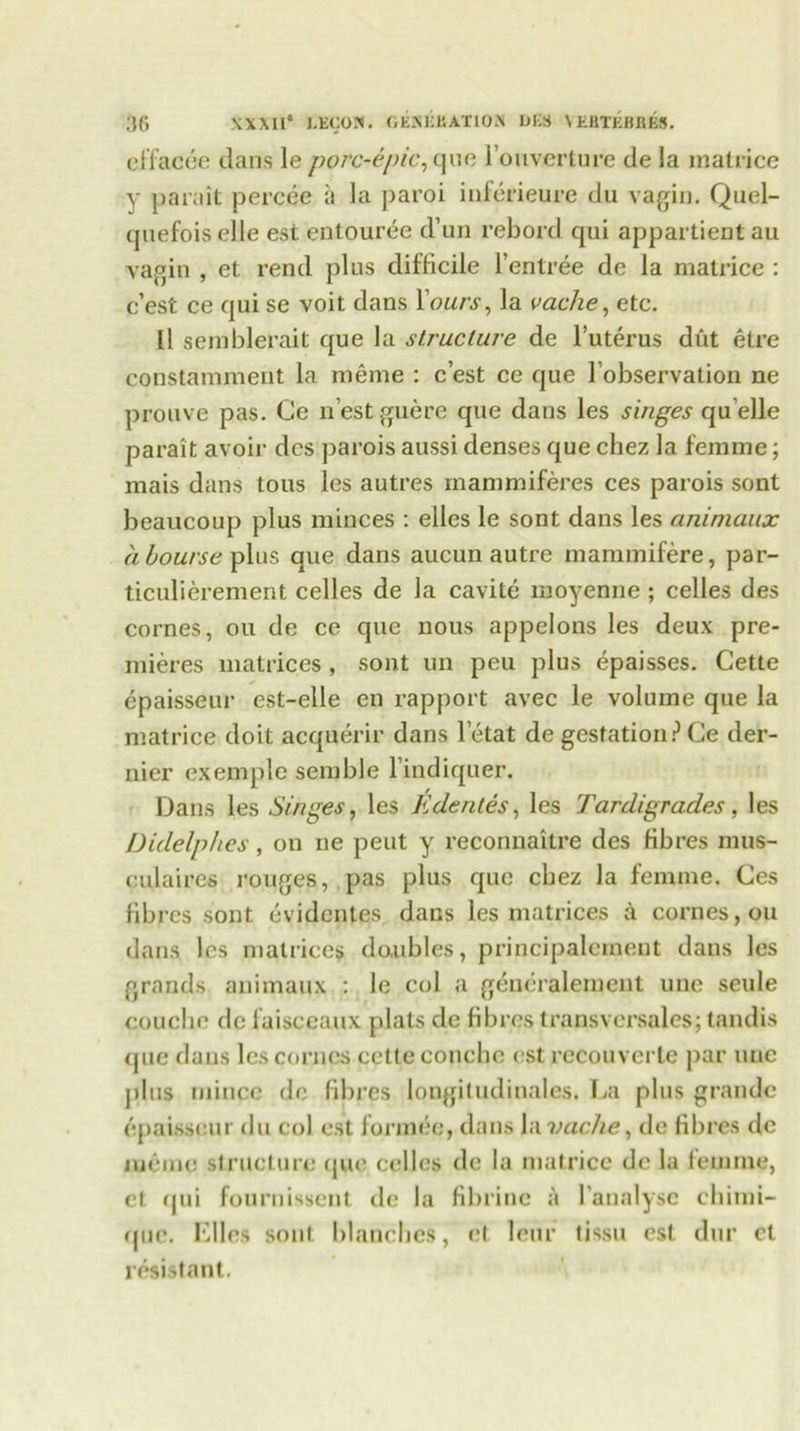 effacee dans le porc-epic, quo l’ouverture de la matrice y parait percee a la paroi inferieure du vagin. Quel- quefois elle est entouree d’un rebord qui appartient au vagin , et rend plus difficile Fentree de la matrice : c’est ce qui se voit dans Yours, la vache, etc. 11 semblerait que la structure de l’uterus dut etre constamment la meme : c’est ce que Fobservation ne prouve pas. Ce n’estguere que dans les singes qu elle parait avoir dcs parois aussi denses que chez la femme; mais dans tous les autres mammiferes ces parois sont beaucoup plus minces : elles le sont dans les animaux a bourse que dans aucun autre mannnifere, par- ticulierement cedes de la cavite moyenne ; cedes des cornes, ou de ce que nous appelons les deux pre- mieres matrices , sont un peu plus epaisses. Cette epaisseur est-elle en rapport avec le volume que la matrice doit acquerir dans letat de gestation?Ce der- nier exemple semble l indiquer. Dans les Singes, les Kdenies, les Tardigrades, les Didelphes, on ne peut y reconnaitre des fibres mus- culaires rouges, pas plus que chez la femme. Ces fibres sont evidentes dans les matrices a cornes, ou dans les matrices doubles, principalemeut dans les grands animaux : le col a gencralemcnt une seule coucbe de faisccaux plats de fibres transversales; tandis que dans les cornes cctte concbc estrecouverte par uuc plus mince do fibres longitudinales. La plus grande epaisseur du col est formee, dans la vache, de fibres de memo structure que cedes de la matrice de la femme, ct qui fournissent de la fibrinc a Fanalysc chimi- que. Idles sont blanches, ct lenr tissu est dur el resistant.