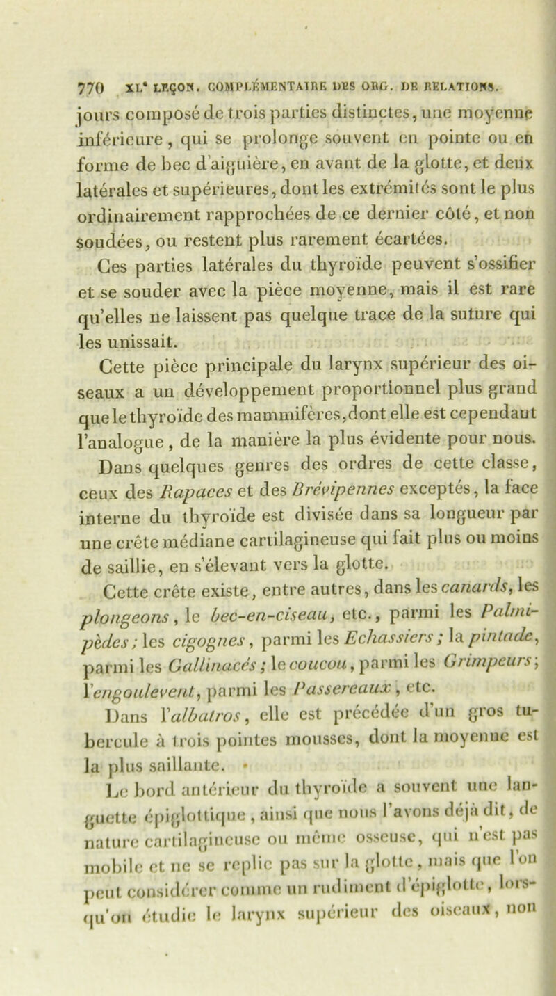 jours compose de troisparties distiuctes, uue moyenue inferieure, qui se prolong? souvent eu pointe ou en forme de bee d’aiguiere, en avant de la glotte, et deux laterales et superieures, dont les extremites sont le plus ordinairement rapprochees de ce dernier cole, etnon soudees, ou restent plus rarement ecartees. Ges parties laterales du thyroide peuvent s’ossifier et se souder avec la piece moyenne, mais il est rare qu’elles ne laissent pas quelque trace de la suture qui les unissait. Cette piece principale du larynx superieur des oi- seaux a un developpement proportlonnel plus grand quele thyroide des mammiferes,dont elle est cependaut l’analogue, de la maniere la plus evidente pour nous. Dans quelques genres des ordres de cette classe, ceux des Rapaces et des Brevipennes exceptes, la face interne du thyroide est divisee dans sa longueur par une crete mediane cartilagineuse qui fait plus ou moins de saillie, eu s’elevant vers la glotte. Cette crete existe > entre autres, dans les canards, les plongeons, lc bec-en-ciseau, etc., panni les Palmi- pedes; les cigognes, parmi les Ecliassiers; la pintacle, ^ par mi les Gallinaces; lc coucou, parmi les Giimpeui s\ Ycngoulevcnt, parmi les /*assereaux , etc. Dans X alb air os, elle est precedee dun gios tu- bercule a irois pointes mousses, dont la moyenue est | la plus saillante. * Lc hord anterieur du thyroide a souvent une lan- guette epigloltique , ainsi que nous I avons deja dit, de 1 nature cartilagineuse ou memo osseusc, qui nest pas mobile et ne sc replic pas sur la glotte, mais que lou j peut considerer comme un rudiment depiglotte, 1ms- (ju’on dtudie le larynx superieur des oiseaux, non