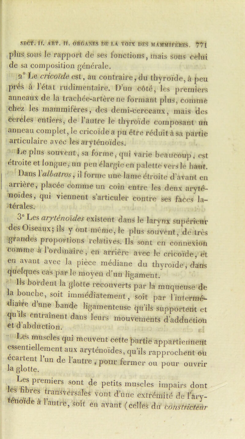 plus sous le rapport do ses functions, inais sous celui de sa composition generale. 2° Le cricoide est, au contraire, du tbyroide, a peu pr^s a l’£tat rudirnentaire. Dun cAte, los premiers anneaux de la tracbee-artere no formant plus, comme cbez les mainmiteres, dos demi-cerceaux, niais des cercles entiers, de 1 autre le tbyroide eomposaut an anneau complet, le cricoide a pu etre reduit h sa partie articulaire avec les arytenoides. fje plus sou vent, sa forme, qui varie beaueoup, est etroite et longue, tin pen Gargle en palette vers le bant. Dans 1 albatros, il forme uue lame etroite d’nvanl en arnere, placee comme un coin entre les deux aryte- noides, qui viennent s’articuler contre ses faces la- terals. 3° Les arytenoides existent dans le larvnx supericur des Oiseaux; ils y out meme, le plus souvent, de tres gfandes propoitlons relatives. Ils sont en connexion comme a i’ofdiuaire, en arriere avec le cricoide, et en avant avec la piece mediane du tbyroide, dans quelques cas par le moyeu d’un ligament. Ils bordent la glotte reconverts par la muqueuse de la boucbe, soit immediatement, soit par 1 interme- diaire d’une bande ligamenteuse qu’ils supported et quils entrament dans leurs mouvements d’adduction et d abduction. Les muscles qui meuvent cette partie appartiennent , entie enicnt aux arytenoides, qu’ils rapprochent ou ecarteut Ion de l’autre , pour former ou pour ouvrir la glotte. 1 * * I LfikPlemierS S°nt Petits muscles impairs dont S ...re® *ransvei’sales vont d’une extremite de I’ary- mot e a autre, soit en avant (cedes du constrictear