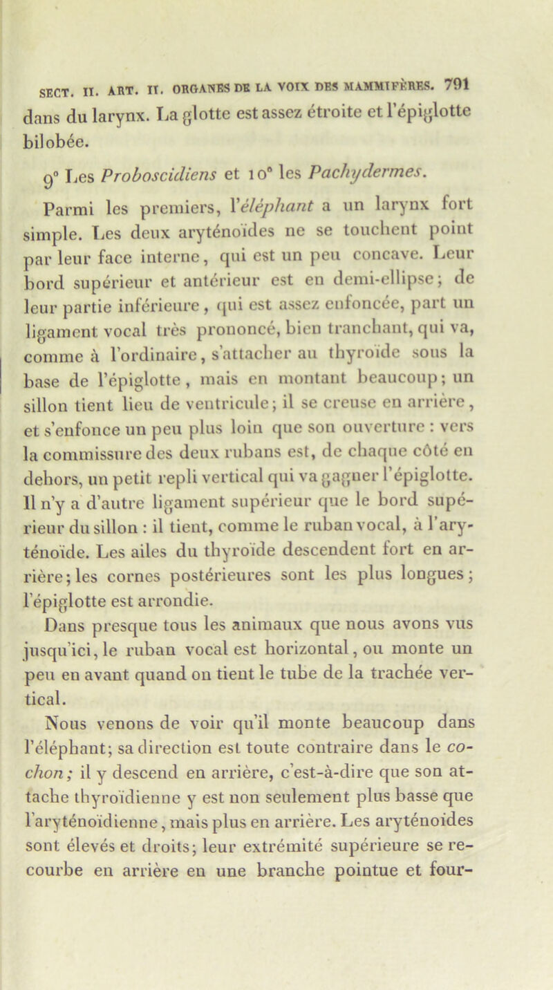 dans du larynx. La glotte estasscz etroite et lepiglotte bilobee. 9° Les Proboscicliens et io° les Pacliydermes. Parmi les premiers, Y elephant a nn larynx fort simple. Ties deux arytenoides ne se touchent point par leur face interne, qui est un pen concave. Leur bord superieur et anterieur est en demi-ellipse; de leur partie inferieure, qui est assez enfoncee, part un ligament vocal ties prononce, bien trancbant, qui va, comme a lordinaire, s’attacher au thyroide sous la base de l’epiglotte, mais en montant beaucoup; un sillon tient lieu de ventricule; il se creuse en arriere, et s’eufonce un pen plus loin que son ouverture : vers la commissure des deux rubans est, de chaque c6te en dehors, un petit repli vertical qui vagaguer l’epiglotte. 11 n’y a d’autre ligament superieur que le bord supe- rieur du sillon : il tient, comme le ruban vocal, a 1 ary- tenoide. Les ailes du thyroide descendent lort en ar- riere; les cornes posterieures sont les plus longues; l’epiglotte est arrondie. Dans presque tons les animaux que nous avons vus jusqu’ici,le ruban vocal est horizontal, ou monte un pen en avant quand ou tient le tube de la trachee ver- tical. Nous venons de voir qu’il monte beaucoup dans 1’elephant; sa direction est toute contraire dans le co- chon; il y descend en arriere, c est-a-dire que son at- tache thyroi'dienne y est non seulement plus basse que l arytenoidienne, mais plus en arriere. Les arytenoides sont eleves et droits; leur extremite superieure se re- courbe en arriere en une branche pointue et four-