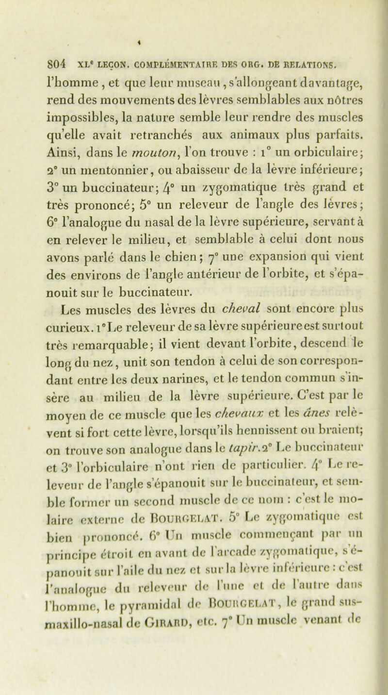 l’homme , et quc leur museau, s allongeant da vantage, rend des mouvements des levres semblables aux nOtres impossibles, la nature semble leur rendre des muscles qu’elle avait retranches aux animaux plus parfaits. Ainsi, dans le rnouton, Ton trouve : i° un orbiculaire; 2° un mentonnier, ou abaisseur dc la levre inferieure; 3° un buccinateur; 4° un zygomatique ties grand et tres prononce; 5° un releveur de Tangle des levres; 6° Tanalogue du nasal de la levre superieure, servant a en relever le milieu, et semblable a celui dont nous avons parle dans le chien; 7° une expansion qui vient des environs de Tangle anterieur de 1 orbite, et s’epa- nouit sur le buccinateur. Les muscles des levres du cheval sont encore plus curieux. i°Le releveur de sa levre superieureest surtout tres remarquable; il vient devant Torbite, descend le long du nez, unit son tendon a celui de son correspon- dant entre les deux narines, et le tendon commun s'in- sere au milieu de la levre superieure. G’est par le moyen de ce muscle que les chevaux et les dries rele- vent si fort cette levre, lorsqu’ils hennissent ou braient; on trouve son analogue dans le tapir.2° l.e buccinateui et 3° Torbiculaire n’ont rien de particulier. 4° Ue re- leveur de Tangle sepanouit sur le buccinateur, et sem- ble former un second muscle de cc uom : c’est le mo- Jaire externe de BOURGELAT. 5° Le zygomatique est bien prononc<L 6° Un muscle commeufant par un principe etroil en avant de Tarcade zygomatique, s'c- panouit sur 1’aile du nez et sur la levre inferieure : c'cst Tanalogue du releveur de lune et de laulie dans 1’homrae, le pyramidal de BoonGELAT, le grand sus- maxillo-nasal de Girard, etc. 70 Un muscle venant de
