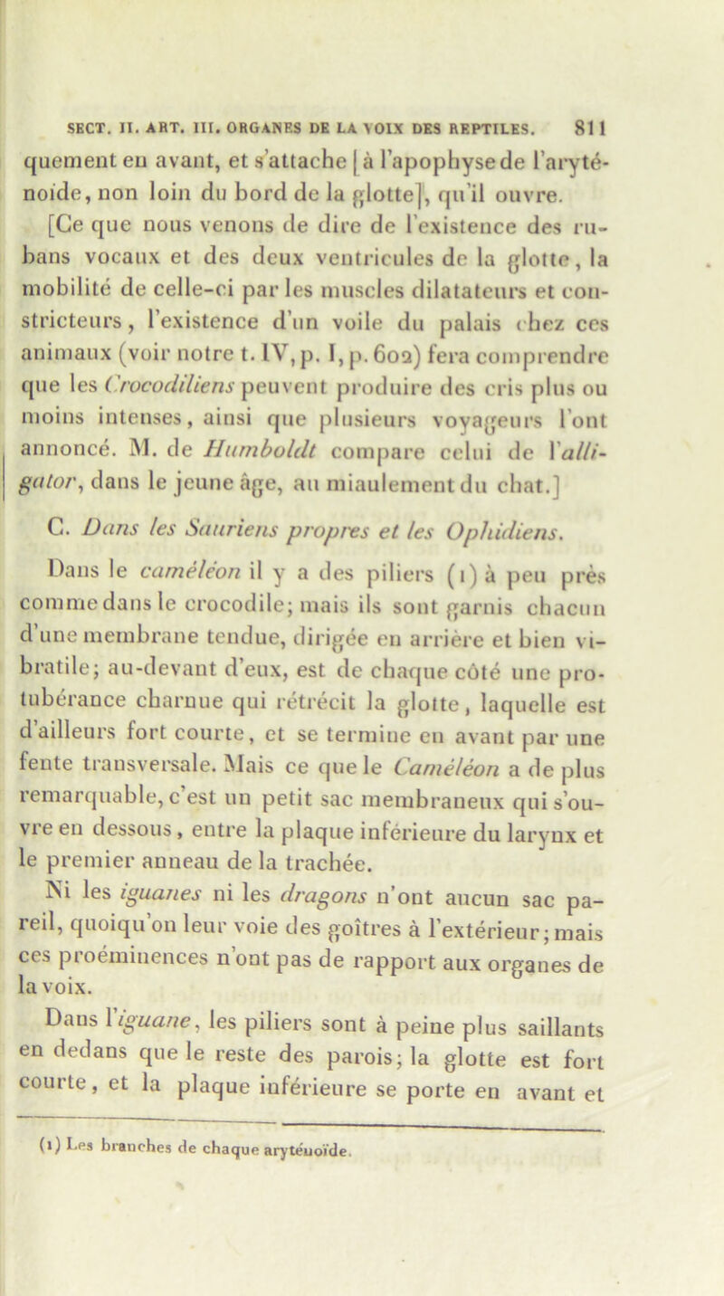 quement eu avant, et s attache | a l’apopbysede l’aryte- noide, non loin du bord de la glotte], qu’il ouvre. [Ce que nous venons de dire de 1 existence des ru- bans vocaux et des deux ventricules de la glotte, la mobilite de celle-ci par les muscles dilatateurs et con- stricteurs, 1 existence d un voile du palais chez ces animaux (voir notre t. IV, p. I, p, 6oq) fera comprendre que les Crocodiliens peuvent produire des cris plus ou moins intenses, ainsi que plusieurs voyageurs l out annonce. M. de Humbulclt compare celui de \ alli- gator, dans le jeune age, an miaulementdu chat.] C. Duns les Sauriens propres et les Ophidiens. Dans le came/eon il y a des piliers (t) a pen pres comme dans le crocodile; mais ils sont garnis chacun d’une membrane tendue, dirigee eu arriere et bien vi- bratile; au-devant d’eux, est de chaque cote line pro- tuberance chantue qui retrecit la glotte, laquelle est d’ailleurs fort courte, et se termine eu avant par une fente transversale. Mais ce quele Cameleon a de plus remarquable, c est uu petit sac membraneux qui s’ou- vre en dessous , entre la plaque inferieure du larynx et le premier auneau de la trachee. Ni les iguanes ni les dragons n’ont aucun sac pa- ieil, quoiqu on leur voie des goitres a l’exterieur; mais ces proeminences n’ont pas de rapport aux organes de la voix. Dans \ iguane, les piliers sont a peine plus saillants en dedans quele reste des parois; la glotte est fort courte, et la plaque inferieure se porte en avant et (1) I ^s branches de chaque aryteuoide