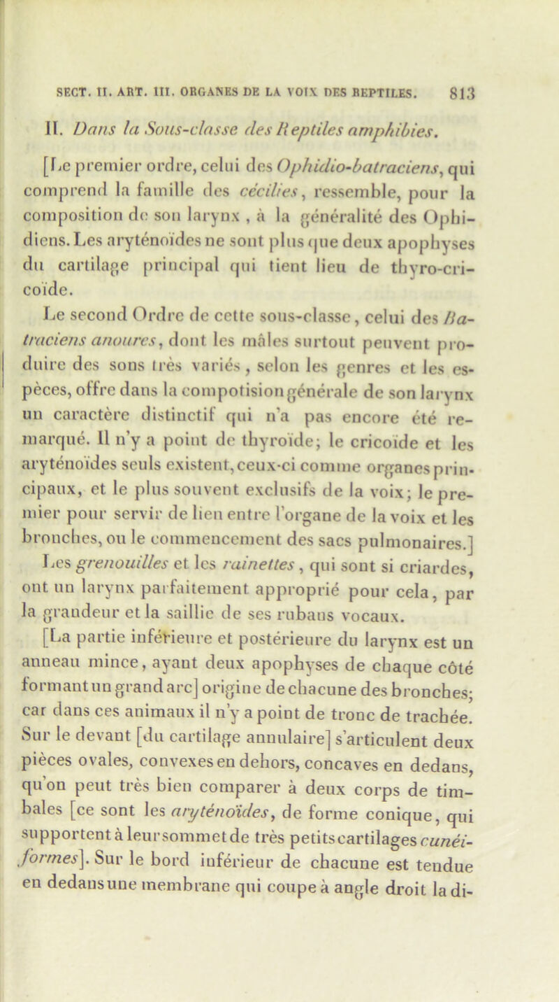 IF. Dans la Sous-classc (les Reptiles amphibies. [he premier ordre, celui des Ophidio-batraciens, qui comprend la famille des Cecilies, ressemble, pour la composition do son larynx , a la generality des Opbi- diens. Les arytenoides ne sont plus que deux apophyses du cartilage principal qui tient lieu de thyro-cri- coide. Le second Ordre de cctte sous-classc, celui des Ha- traciens anourcs, dont les males surtout peuvent pro- duire des sons Ires varies, scion les genres ct les es- peces, offre dans la compotisiongenerate de son larynx un caractere distinctif qui n’a pas encore ete re- marque. 11 n’y a point de thyroide; le cricoide et les arytenoides seuls existent,ceux-ci coniine organesprin- cipaux, et le plus sou vent exclusifs de la voix; le pre- mier pour servir de lien entre 1’organe de la voix et les brunches, ou le commencement des sacs pulmonaires.] Les grenouiUes et les raine/tes , qui sont si criardes, ont un larynx parfaitement approprie pour cela, par la graudeur et la saillie de ses rubaus vocaux. [l^a partie infevieure et posterieure du larynx est un anneau mince, ayant deux apophyses de cbaque cote formant un grand arc] origine de chacune des bronches; car dans ces animaux il n’y a point de tronc de trachee. Sur le devaut [du cartilage annulaire] s’articulent deux pieces ovales, convexesen dehors, concaves en dedans, qu on peut tres bien comparer a deux corps de tim- bales [ce sont les arytenoides, de forme conique, qui supportentaleursommetde tres petitscartilagescw/zeV- formes]. Sur le bord iuferieur de chacune est teudue en dedans une membrane qui coupe a angle droit ladi-