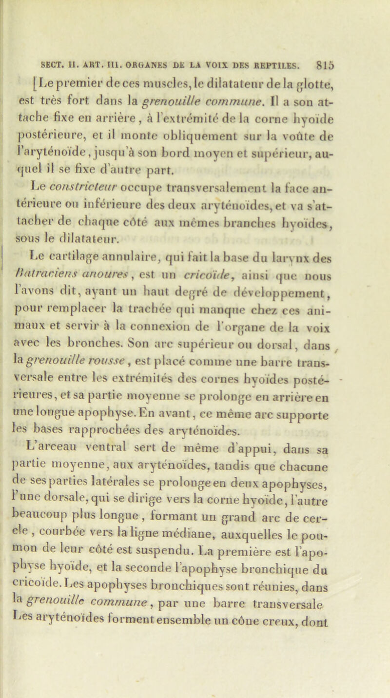 [Le premier deces muscles, le dilatatenr dela glotte, est tres fort dans la grenouil/e commune. II a son at- tache fixe en arriere, a l’extremite de la corne hyoide posterieure, et il monte obliquement sur la voilte de 1 arytenoide, jusqu 5 son bord moyen et superieur, au- quel it se fixe d’autre part. Le constricteur occupe transversalement la face an- terieure on inferieure des deux arytenoides, et va s’at- lacher de chaqne cdte aux merries branches hyoides, sous le dilatatenr. Le cartilage annulaire, qui fait la base du larynx des Hatraciens anoures, est un cricoide, ainsi que nous lavons dit, ayant un haut dcgre de devcloppement, pour remplacer la trachee qui manque chez ces ani- maux et servir ii la connexion de l’organe de la voix avec les bronches. Son arc superieur oil dorsal, dans la grenoui/le jxntsse, est place comine une barre trans- versale eutre les extreniites des cornes hyoides poste- rieures, etsa partie moyenne se prolonge en arriere en une longue apophyse.En avant, ce meme arc supporte les bases rapprochees des arytenoides. L arceau ventral sert de meme dappui, dans sa partie moyenne, aux arytenoides, tandis que chacune de ses parties laterales se prolonge en deux apophyses, 1 une dorsale, qui se dirige vers la corne hyoide, 1’autre beaucoup plus longue , formant un grand arc de cer- c!e , com bee vers la ligne mediane, auxquelles le pou- mon de leur cote est suspendu. La premiere est l’apo- ply se hyoide, et la seconde 1 apophyse bronchique du ci icoide. Les apophyses bronchiques sont reunies, dans la grenouil/e commune, par une barre transversale lies arytenoides lorment ensemble un cone creux, dont