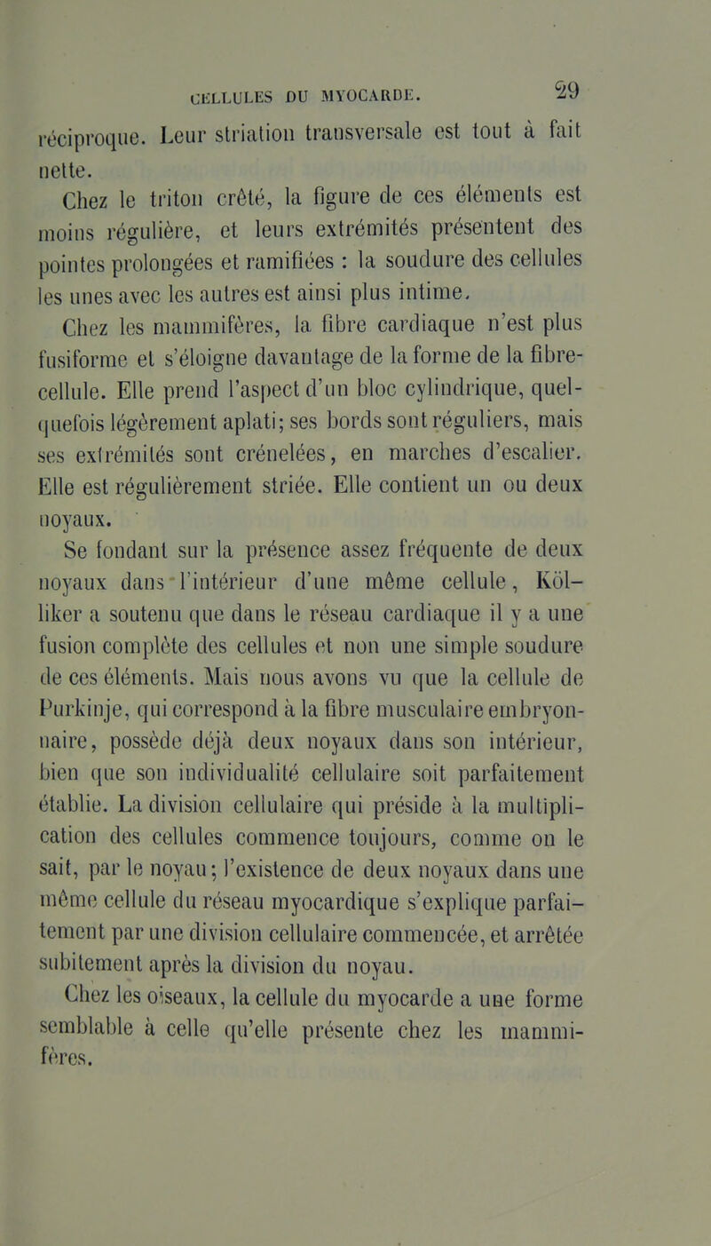 réciproque. Leur slriation transversale est tout à fait nette. Chez le triton crêté, la figure de ces éléments est moins régulière, et leurs extrémités présentent des pointes prolongées et ramifiées : la soudure des cellules les unes avec les autres est ainsi plus intime. Chez les mamniifères, la fibre cardiaque n'est plus fusiforrae et s'éloigne davantage de la forme de la fibre- cellule. Elle prend l'aspect d'un bloc cylindrique, quel- quefois légèrement aplati; ses bords sont réguliers, mais ses extrémités sont crénelées, en marches d'escalier. Elle est régulièrement striée. Elle contient un ou deux noyaux. Se fondant sur la présence assez fréquente de deux noyaux dans l'intérieur d'une même cellule, Kôl- liker a soutenu que dans le réseau cardiaque il y a une fusion complète des cellules et non une simple soudure de ces éléments. Mais nous avons vu que la cellule de Purkinje, qui correspond à la fibre musculaire embryon- naire, possède déjà deux noyaux dans son intérieur, bien que son individualité cellulaire soit parfaitement établie. La division cellulaire qui préside à la multipli- cation des cellules commence toujours, comme on le sait, par le noyau ; l'existence de deux noyaux dans une même cellule du réseau myocardique s'explique parfai- tement par une division cellulaire commencée, et arrêtée subitement après la division du noyau. Chez les oiseaux, la cellule du myocarde a une forme semblable à celle qu'elle présente chez les mammi- fères.