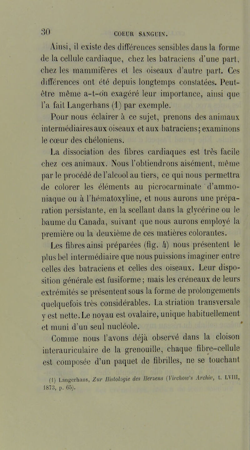 Ainsi, il existe des différences sensibles dans la forme de la cellule cardiaque, chez les batraciens d'une part, chez les mammifères et les oiseaux d'autre part. Ces différences ont été depuis longtemps constatées. Peut- être même a-t-dn exagéré leur importance, ainsi que l'a fait Langerhans (1) par exemple. Pour nous éclairer à ce sujet, prenons des animaux intermédiaires aux oiseaux et aux batraciens; examinons le cœur des chéloniens. La dissociation des fibres cardiaques est très facile chez ces animaux. Nous l'obtiendrons aisément, même par le procédé de l'alcool au tiers, ce qui nous permettra de colorer les éléments au picrocarminate d'ammo- niaque ou à l'hématoxyline, et nous aurons une prépa- ration persistante, en la scellant dans la glycérine ou le baume du Canada, suivant que nous aurons employé la première ou la deuxième de ces matières colorantes. Les fibres ainsi préparées (fig. li) nous présentent le plus bel intermédiaire que nous puissions imaginer entre celles des batraciens et celles des oiseaux. Leur dispo- sition générale est fusiforme ; mais les créneaux de leurs extrémités se présentent sous la forme de prolongements quelquefois très considérables. La striation transversale y est nette.Le noyau est ovalaire, unique habituellement et muni d'un seul nucléole. Comme nous l'avons déjà observé dans la cloison interauriculaire de la grenouille, chaque fibre-cellule est composée d'un paquet de fibrilles, ne se touchant (1) Langerhans, Zur Histologie des llenens {Virchow's Archir, t. LVIII, 1873, p. 65).