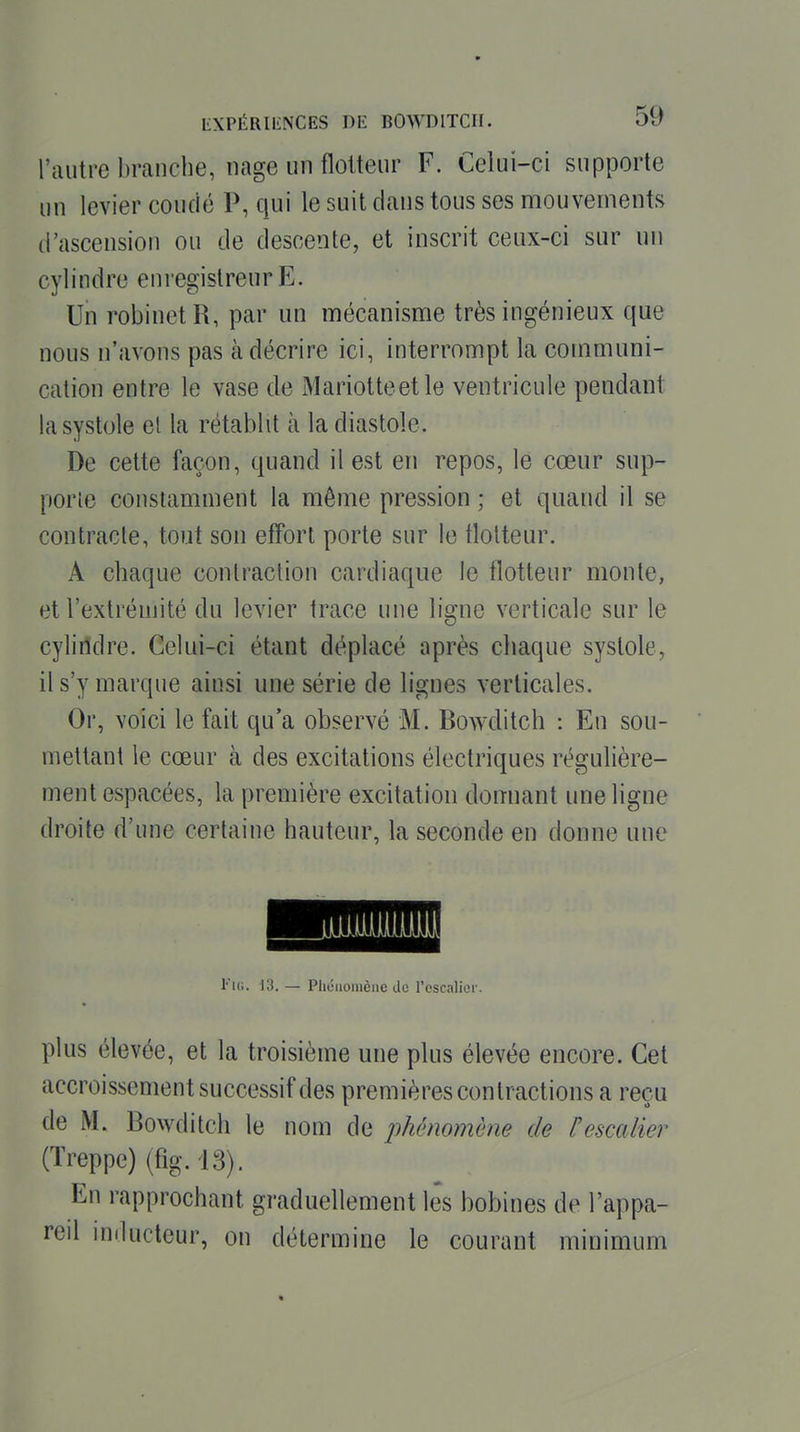 l'autre branche, nage un flotteur F. Celui-ci supporte un levier coudé P, qui le suit clans tous ses mouvements d'ascension ou de descente, et inscrit ceux-ci sur un cylindre enregistreur E. Un robinet R, par un mécanisme très ingénieux que nous n'avons pas à décrire ici, interrompt la communi- cation entre le vase de Mariotteetle ventricule pendant la systole el la rétablit à la diastole. De cette façon, quand il est en repos, le cœur sup- porte constamment la même pression ; et quand il se contracte, tout son effort porte sur le flotteur. A chaque contraction cardiaque le flotteur monte, et l'extrémité du levier trace une ligne verticale sur le cyliildre. Celui-ci étant déplacé après cliaque systole, il s'y marque ainsi une série de lignes verticales. Or, voici le fait qu'a observé M. Bowditch : En sou- mettant le cœur à des excitations électriques régulière- ment espacées, la première excitation domiant une ligne droite d'une certaine hauteur, la seconde en donne une m l'u;. J3. — Pliciioincne de l'escalier. plus élevée, et la troisième une plus élevée encore. Cet accroissement successif des premières contractions a reçu de M. Bowditch le nom de phénomène de Fescalier (Treppe) (fig.iS). En rapprochant graduellement lés bobines de l'appa- reil inducteur, on détermine le courant minimum