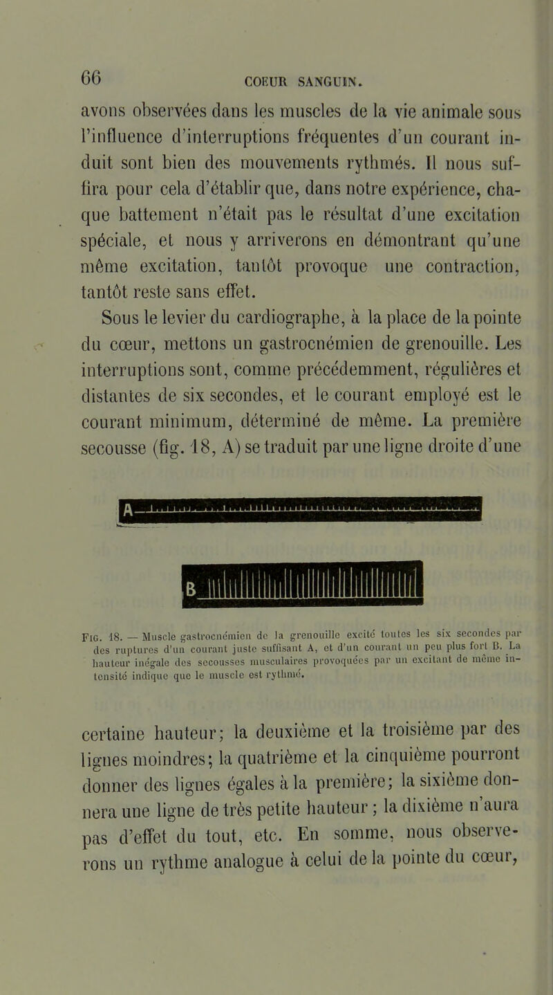 avons observées clans les muscles de la vie animale sous rinflucnce d'interruptions fréquentes d'un courant in- duit sont bien des mouvements rythmés. Il nous suf- fira pour cela d'établir que, dans notre expérience, cha- que battement n'était pas le résultat d'une excitation spéciale, et nous y arriverons en démontrant qu'une même excitation, tantôt provoque une contraction, tantôt reste sans effet. Sous le levier du cardiographe, à la place de la pointe du cœur, mettons un gastrocnémien de grenouille. Les interruptions sont, comme précédemment, régulières et distantes de six secondes, et le courant employé est le courant minimum, déterminé de même. La première secousse (fig. 18, A) se traduit par une ligne droite d'une FiG. 18. — Muscle gastrocndmieu de la grenouille excité toutes les six secondes par des ruptures d'un courant juste suffisant A, et d'un courant un peu plus fort B. La hauteur inégale des secousses musculaires provoquées par un excitant de même in- tensité indique que le muscle est rytlimé. certaine hauteur; la deuxième et la troisième par des lignes moindres; la quatrième et la cinquième pourront donner des lignes égales à la première; la sixième don- nera une ligne de très petite hauteur ; la dixième n'aura pas d'effet du tout, etc. En somme, nous observe- rons un rythme analogue à celui de la pointe du cœur,