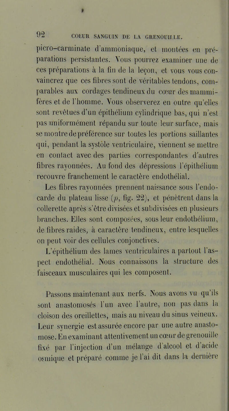 t COIiUR SANGUIN DE LA GRENOUILLE. picro-carminate d'ammoniaque, et montées en pré- parations persistantes. Vous pourrez examiner une de ces préparations à la fin de la leçon, et vous vous con- vaincrez que ces fibres sont de véritables tendons, com- parables aux cordages tendineux du cœur des mammi- fères et de l'homme. Vous observerez en outre qu'elles sont revêtues d'un épithélium cylindrique bas, qui n'est pas uniformément répandu sur toute leur surface, mais se montre de préférence sur toutes les portions saillantes qui, pendant la systole ventriculaire, viennent se mettre en contact avec des parties correspondantes d'autres fibres rayonnées. Au fond des dépressions l'épilhélium recouvre franchement le caractère endothélial. Les fibres rayonnées prennent naissance sous l'endo- carde du plateau lisse {p, fig. 22), et pénètrent dans la collerette après s'être divisées et subdivisées en plusieurs branches. Elles sont composées, sous leur endothélium, de fibres raides, à caractère tendineux, entre lesquelles on peut voir des cellules conjonctives. L'épithélium des lames ventriculaires a partout l'as- pect endothélial. Nous connaissons la structure des faisceaux musculaires qui les composent. Passons maintenant aux nerfs. Nous avons vu qu'ils sont anastomosés l'un avec l'autre, non pas dans la cloison des oreillettes, mais au niveau du sinus veineux. Leur synergie est assurée encore par une autre anasto- mose. En examinant attentivement un cœur de grenouille fixé par l'injection d'un mélange d'alcool et d'acide osmique et préparé comme je l'ai dit dans la dernière