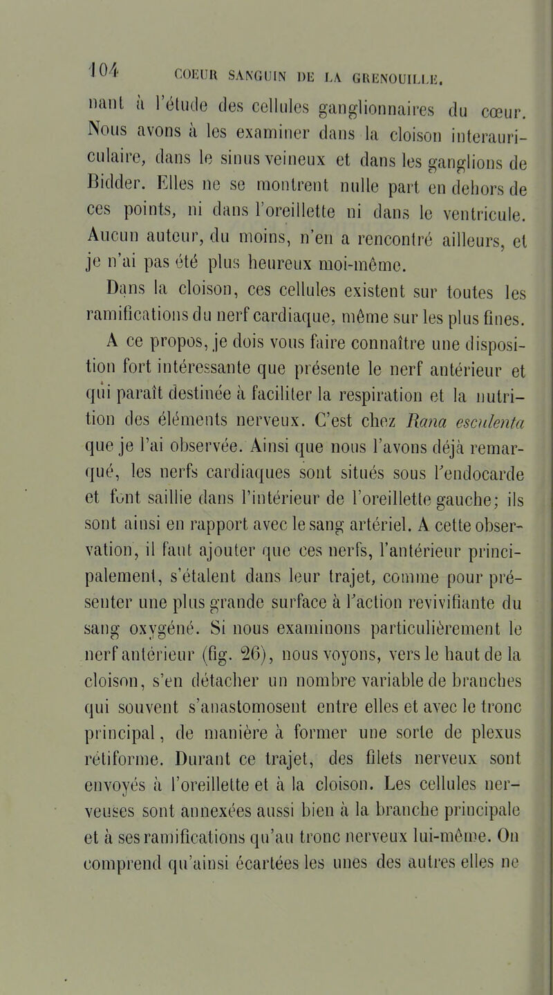 liant ù l'étude des cellules ganglionnaires du cœur. Nous avons à les examiner dans la cloison interauri- culaire, dans le sinus veineux et dans les ganglions de Bidder. Elles ne se montrent nulle part en dehors de ces points, ni dans l'oreillette ni dans le ventricule. Aucun auteur, du moins, n'en a rencontré ailleurs, et je n'ai pas été plus heureux moi-même. Dans la cloison, ces cellules existent sur toutes les ramifications du nerf cardiaque, môme sur les plus fines. A ce propos, je dois vous faire connaître une disposi- tion fort intéressante que présente le nerf antérieur et qiii paraît destinée à faciliter la respiration et la nutri- tion des éléments nerveux. C'est chez Ra)ia esculenta que je l'ai observée. Ainsi que nous l'avons déjà remar- qué, les nerfs cardiaques sont situés sous Tendocarde et funt saillie dans l'intérieur de l'oreillette gauche; ils sont ainsi en rapport avec le sang artériel. A cette obser- vation, il faut ajouter que ces nerfs, l'antérieur princi- palement, s'étalent dans leur trajet, comme pour pré- senter une plus grande surface à Taction revivifiante du sang oxygéné. Si nous examinons particulièrement le nerf antérieur (fîg. 26), nous voyons, vers le haut de la cloison, s'en détacher un nombre variable de branches qui souvent s'anastomosent entre elles et avec le tronc principal, de manière à former une sorte de plexus rétiforme. Durant ce trajet, des filets nerveux sont envoyés à l'oreillette et à la cloison. Les cellules ner- veuses sont annexées aussi bien à la branche principale et à ses ramifications qu'au tronc nerveux lui-môme. On comprend qu'ainsi écartées les unes des autres elles ne