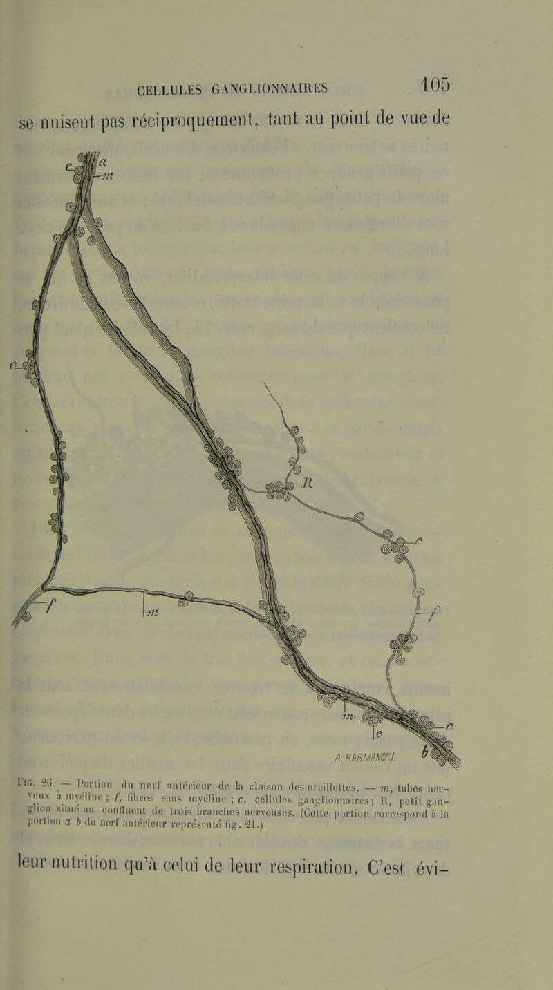 CELLULES GANGLIONNAIRES 405 se nuisent pas réciproquement, tant au point de vue de tu- A. mmmi. l'io. -le. — Portion (lu nerf .•iiilônoui- do la cloison îles oroilh.-ltes. — m, tubes nor- v(-iix àmpiliii.;; f, libres sans myéline ; c, cellules ganslioiiniiires; 11, petit gau- glioii situe au coniluont de trois branches nerveuses. (Cette portioM corresimudà la portion a b du nerf antérieur représi>iité fig. 21.) leur nutrition qu'à celui de leur respiration. C'est évi-