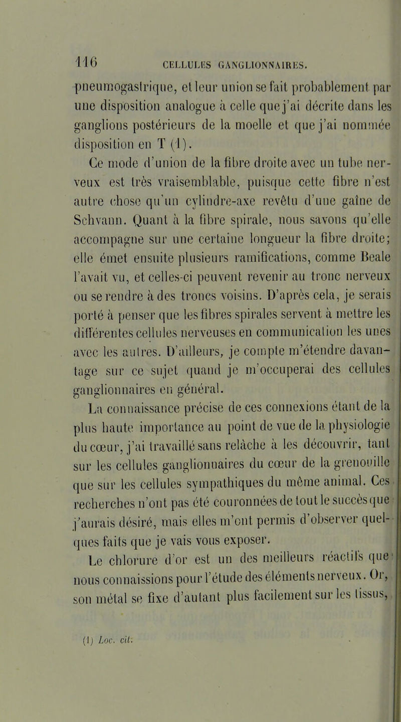 pneumogasirique, et leur union se fait probablement par une disposition analogue à celle que j'ai décrite dans les ganglions postérieurs de la moelle et que j'ai nommée disposition en T (i). Ce mode d'union de la fibre droite avec un tube ner- veux est très vraisemblable, puisque cette fibre n'est autre chose qu'un cylindre-axe revêtu d'une gaîne de Schvann. Quant à la fibre spirale, nous savons qu'elle accompagne sur une certaine longueur la fibre droite; elle émet ensuite plusieurs ramifications, comme Bcale l'avait vu, et celles-ci peuvent revenir au tronc nerveux ou se rendre à des troncs voisins. D'après cela, je serais porté à penser que les fibres spirales servent à mettre les ditFérentes cellules nerveuses en communication les unes avec les aulres. D'ailleurs, je compte m'étendre davan- tage sur ce sujet (juand je m'occuperai des cellules ganglionnaires eii général. Lu connaissance précise de ces connexions étant de la plus haute importance au point de vue de la physiologie du cœur, j'ai travaillé sans relâche à les découvrir, tant sur les cellules ganglionnaires du cœur de la grenouille que sur les cellules sympathiques du même animal. Ces recherches n'ont pas été couronnées de tout le succès que j'aurais désiré, mais elles m'ont permis d'observer quel- ques faits que je vais vous exposer. Le chlorure d'or est un des meilleurs réactifs que' nous connaissions pour l'étude des éléments nerveux. Or, son métal se fixe d'autant plus tacilementsur les tissus, (Ij Loc. cil: