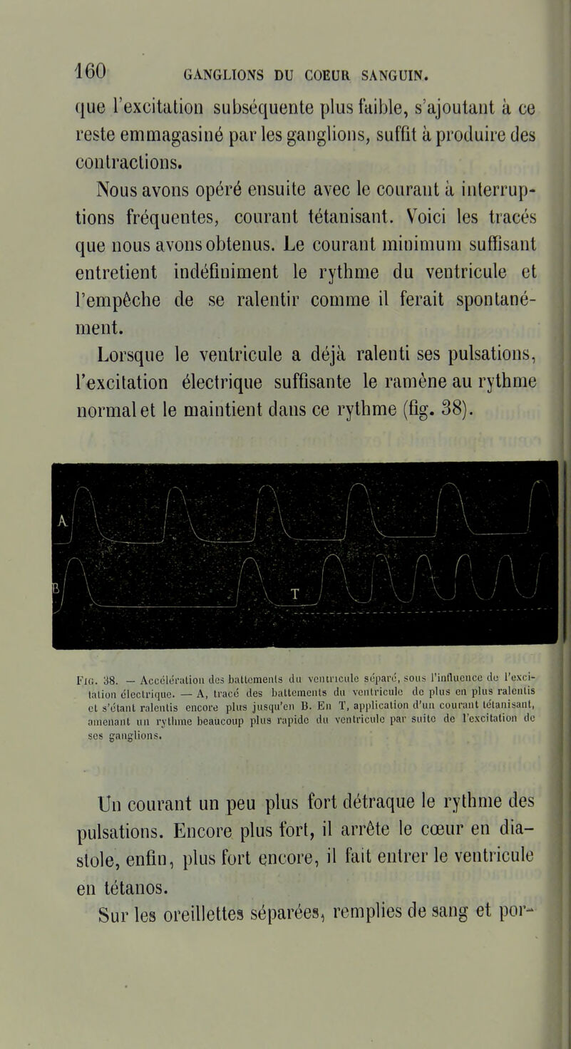 que l'excitation subséquente plus faible, s'ajoutant à ce reste emmagasiné par les ganglions, suffit à produire des contractions. Nous avons opéré ensuite avec le courant à interrup- tions fréquentes, courant tétanisant. Voici les tracés que nous avons obtenus. Le courant minimum suffisant entretient indéfiniment le rythme du ventricule et l'empêche de se ralentir comme il ferait spontané- ment. Lorsque le ventricule a déjà ralenti ses pulsations, l'excitation électrique suffisante le ramène au rythme normal et le maintient dans ce rythme (fig. 38). Fio. 38. — Acccléralion des battcmenls du veiuriculc siiparé, sous rinflucncc do l'exci- talioii électrique. — A, tracé des battements du ventricule do plus en plus ralentis cl s'étanl ralentis encore plus jusqu'en B. En T, application d'un courant tétanisant, amenant un rythme beaucoup plus rapide du ventricule par suite de l'excitation de ses ganglions. Un courant un peu plus fort détraque le rythme des pulsations. Encore plus fort, il arrête le cœur en dia- stole, enfin, plus fort encore, il fait entrer le ventricule en tétanos. Sur les oreillettes séparées, remplies de sang et por-