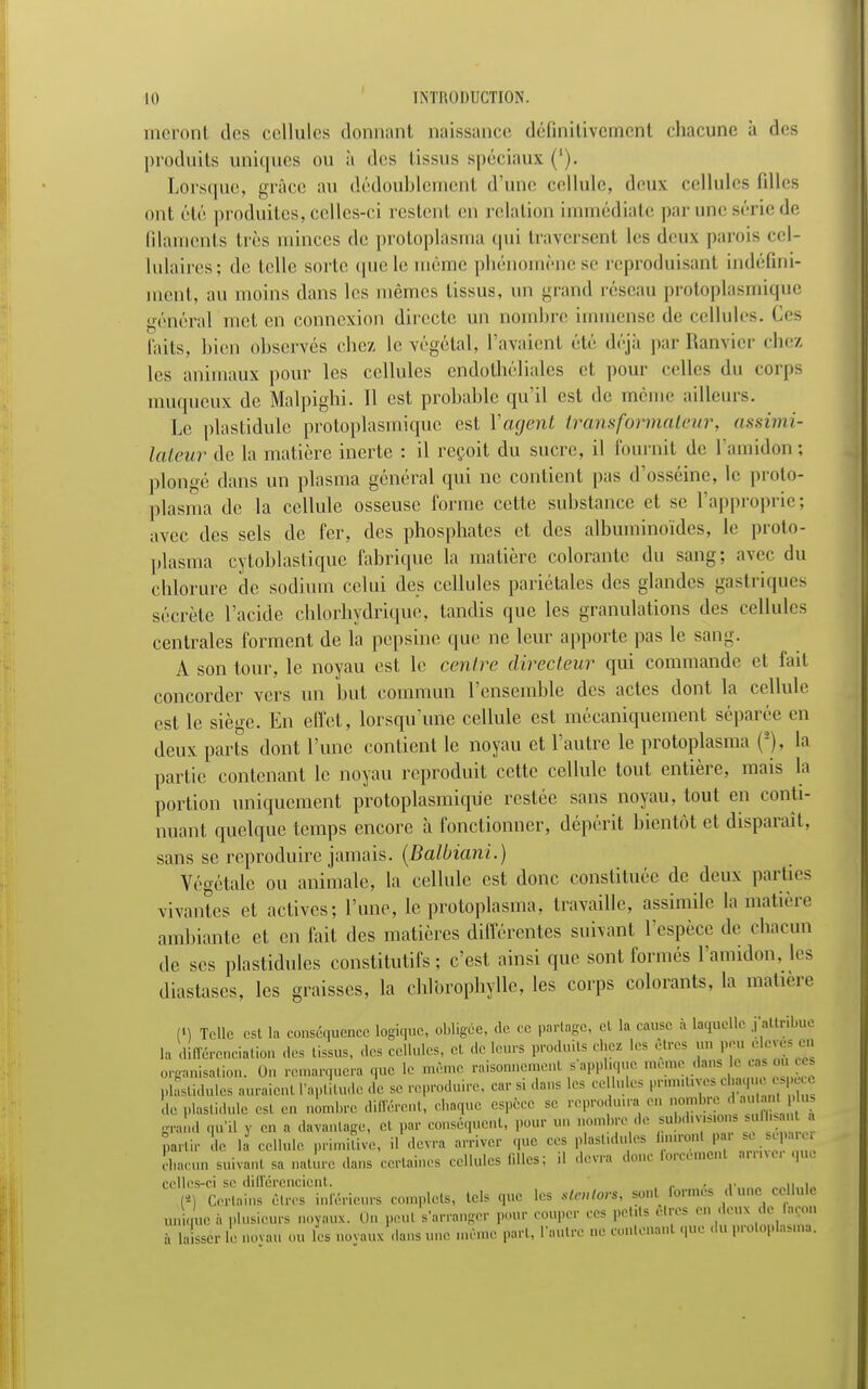 nieront des cellules donnant naissance définitivement chacune à des produits uniques ou à des tissus spéciaux ('). Lorsque, grâce au dédoublement d'une cellule, deux cellules filles ont été produites, celles-ci restent en relation immédiate par une série de lihuneuts très minces de protoplasma qui traversent les deux parois cel- lulaires; de telle sorte que le même phénomène se reproduisanl indéfini- ment, au moins dans les mêmes tissus, un grand réseau protoplasmique général met en connexion directe un nombre immense de cellules. Ces faits, bien observés chez le végétal, l'avaienl été déjà parRanvier chez les animaux pour les cellules endothéliales et pour celles du corps muqueux de Malpighi. H est probable qu'il est de même ailleurs. Le plastidule protoplasmique est Y agent transformateur, assimi- lateur de la matière inerte : il reçoit du sucre, il fournit de l'amidon; plongé clans un plasma général qui ne contient pas d'osséine, le proto- plasma de la cellule osseuse l'orme cette substance et se l'approprie; avec des sels de fer, des phosphates et des albuminoïdes, le proto- plasma cytoblastique fabrique la matière colorante du sang; avec du chlorure de sodium celui des cellules pariétales des glandes gastriques sécrète l'acide chlorhydrique, tandis que les granulations des cellules centrales forment de la pepsine que ne leur apporte pas le sang. A son tour, le noyau est le centre directeur qui commande et fait concorder vers un but commun l'ensemble des actes dont la cellule est le siège. En effet, lorsqu'une cellule est mécaniquement séparée en deux parts dont l'une contient le noyau et l'autre le protoplasma (■), la partie contenant le noyau reproduit cette cellule tout entière, mais la portion uniquement protoplasmique restée sans noyau, tout en conti- nuant quelque temps encore à fonctionner, dépérit bientôt et disparaît, sans se reproduire jamais. (Balbiani.) Végétale ou animale, la cellule est donc constituée de deux parties vivantes et actives; l'une, le protoplasma, travaille, assimile la matière ambiante et en fait des matières différentes suivant l'espèce de chacun de ses plastidules constitutifs; c'est ainsi que sont formes l'amidon, les diastascs, les graisses, la chlorophylle, les corps colorants, la matière (t) Telle est la conséquence logique, obligée, de ce partage, ei la cause à laquelle ^attribue la différenciation des tissus, des cellules, cl de leurs produits chez les êtres un peu élevés en organisation. On remarquera que le môme raisonnera s'applique raDme dans;le cas ou ces plastidules auraient l'aptitude de se reproduire, car si dans les celluks primées chaque espèce de plastidule est en nombre différent, chaque espèce se reproduira en nombre J «»^Pj™ grand qu'il y en a davantage, el par conséquent, pour un nombre de x.Um.nns ulïisau partir de il cellule primitive, il devra arriver que ces plastidules limronj pu sesépare chacun suivant sa nature dans certaines cellules (Mes; il devra ,1 Ibrcémenl arrive, que celles-ci se différencient. „ , _„ , (») Certains êtres inférieurs complets, tels que les stentors, -m formés dune cellule un que à plusieurs noyaux, On pcul s'arranger pour couper ces petits Êtres en deux de façon
