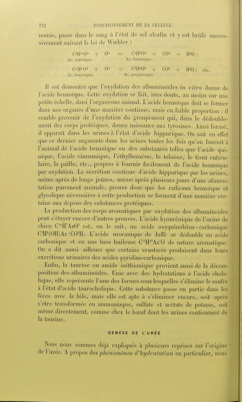 nomie, passe dans le sang à l'état de sel alcalin et y est brûlé succes- sivement suivant la loi de Wœhler : C8HI003 + Os = O1I80* -f CO* + 11*0 ; Ac. valcrique. Ac. butyrique. 6»D»0« + d* == C»tt*Oi + C0« + ]|20; etc. Ac. butyrique. Ac. propionique; Il est démontré que l'oxydation des albuminoïdes in vitro donne de l'acide benzoïque. Cette oxydation se fait', sans doute, au moins sur une petite échelle, dans l'organisme animal. L'acide benzoïque doit se former dans nos organes dîme manière continue, mais en faible proportion : il semble provenir de l'oxydation du groupemenl gui', dans le dédouble- ment des corps protéiques, donne naissance aux tyrosines. Ainsi formé, il apparaît dans les urines à l'état d'acide hippurique. On sait en effet que ce dernier augmente dans les urines toutes les fois qu'on fournit à l'aninial de l'acide benzoïque ou des substances telles que l'acide (pu- nique, l'acide cinnamique, l'cthylbenzène, le toluène, le tissu cuticu- laire, la paille, etc., propres à fournir facilement de l'acide benzoïque par oxydation. La sécrétion continue d'acide hippurique par les urines, même après de longs jeûnes, même après plusieurs jours d'une alimen- tation purement animale, prouve donc que les radicaux benzoïque < 1 glycolique nécessaires à celle production se forment d'une manière cer- taine aux dépens des substances protéiques. La production des corps aromatiques par oxydation des albuminoïdes peut s'étayer encore d'autres preuves. L'acide kynurènique de l'urine de chien C10H7AzOs est, on le sait, un acide oxyquinoléine - carbonique C9Hs(0H)Az-C02H. L'acide urocanique de Jane se dédouble en acide carbonique et en une base huileuse CHHJ0Az40 de nature aromatique; On a dit aussi ailleurs que certains crustacés produisent dans leurs excrétions urinaires des acides pyridine-carbonique. Enfin, la taurine ou amide iséthionique provient aussi de la décom- position des albuminoïdes. Unie avec des hydratations à l'acide chola- lique, elle représente l'une des formes sous lesquelles s'élimine le soufre à l'état d'acide taurocholique. Cette substance passe en partie dans les fèces avec la bile, mais elle est apte à s'éliminer encore, soit après s'être transformée en ammoniaque, sulfate et acétate de potasse, soit même directement, comme chez le bœuf dont les urines contiennent de la taurine. GENÈSE DE L URÉE Nous nous sommes déjà expliqués à plusieurs reprises sur l'origine de l'urée. A propos des phénomènes d'hydratation en particulier, nous