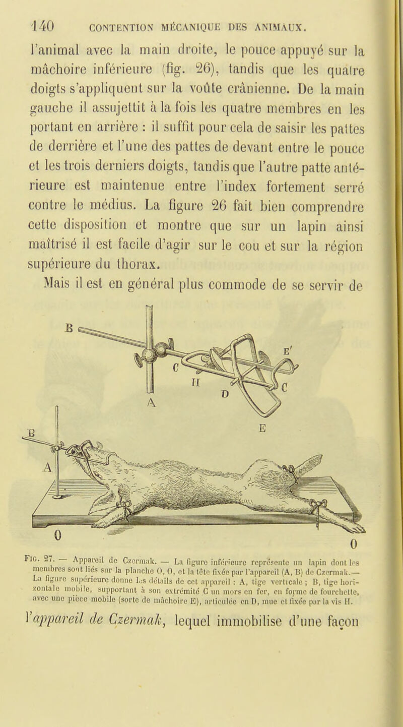 l'animal avec la main tiroite, le pouce appuyé sur la mâchoire inférieure (fig. 26), tandis que les quaire doigts s'appliquent sur la voûte crânienne. De la main gauche il assujettit à la fois les quatre membres en les portant en arrière : il suffit pour cela de saisir les pattes de derrière et l'une des pattes de devant entre le pouce et les trois derniers doigts, tandis que l'autre patte anté- rieure est maintenue entre l'index fortement serré contre le médius. La figure 26 fait bien comprendre cette disposition et montre que sur un lapin ainsi maîtrisé il est facile d'agir sur le cou et sur la région supérieure du thorax. Mais il est en général plus commode de se servir de Fie. ^7. — Appareil do Czci-mak. — La figure iiif(!riem-c reprt!?onlo un lapin donl I.-s membres sont liés sur la planche 0, 0, cl la lêto (ixéc pur l'appareil (A, B) de Czermak.— La fi-iiro siiiiericure donne les détails de cet appareil : A, tije verticale ; B, tige hori- zontale mol.ile, supportant à son extrémité C un mors en fer, en fopnc de fourchctlc, avec une pièce mobile (sorte de mâchoire E), arliculdo en D, mue et fixde par la vis H. y appareil de Czermak, lequel immobilise d'une façon