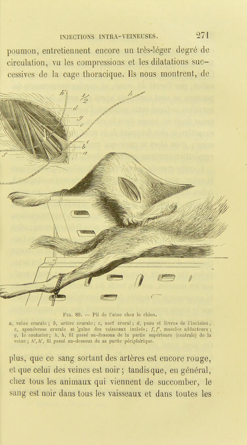 poumon, entretiennent encore un très-léger degré de circulation, vu les compressions et les dilatations suc- cessives de la cage thoracique. Ils nous montrent, de FiG. 89. — Pli do l'aine chez le chien. a, veine cniralc ; 6, artère crurale; c, nerf crural; d, peau et lèvres de l'incision, . c, aponévrose crurale et [gaine des vaisseaux incise's; f,f', muscles adducteurs; ;/, le couturier; h, h, fil passi5 au-dessous de la partie supérieure (centrale) de la veine ; h', h', fil passe au-dessous de sa partie périphérique. plus, que ce sang sortant des artères est encore rouge, et que celui des veines est noir ; tandis que, en général, chez tous les animaux qui viennent de succomber, le sang est noir dans tous les vaisseaux et dans toutes les