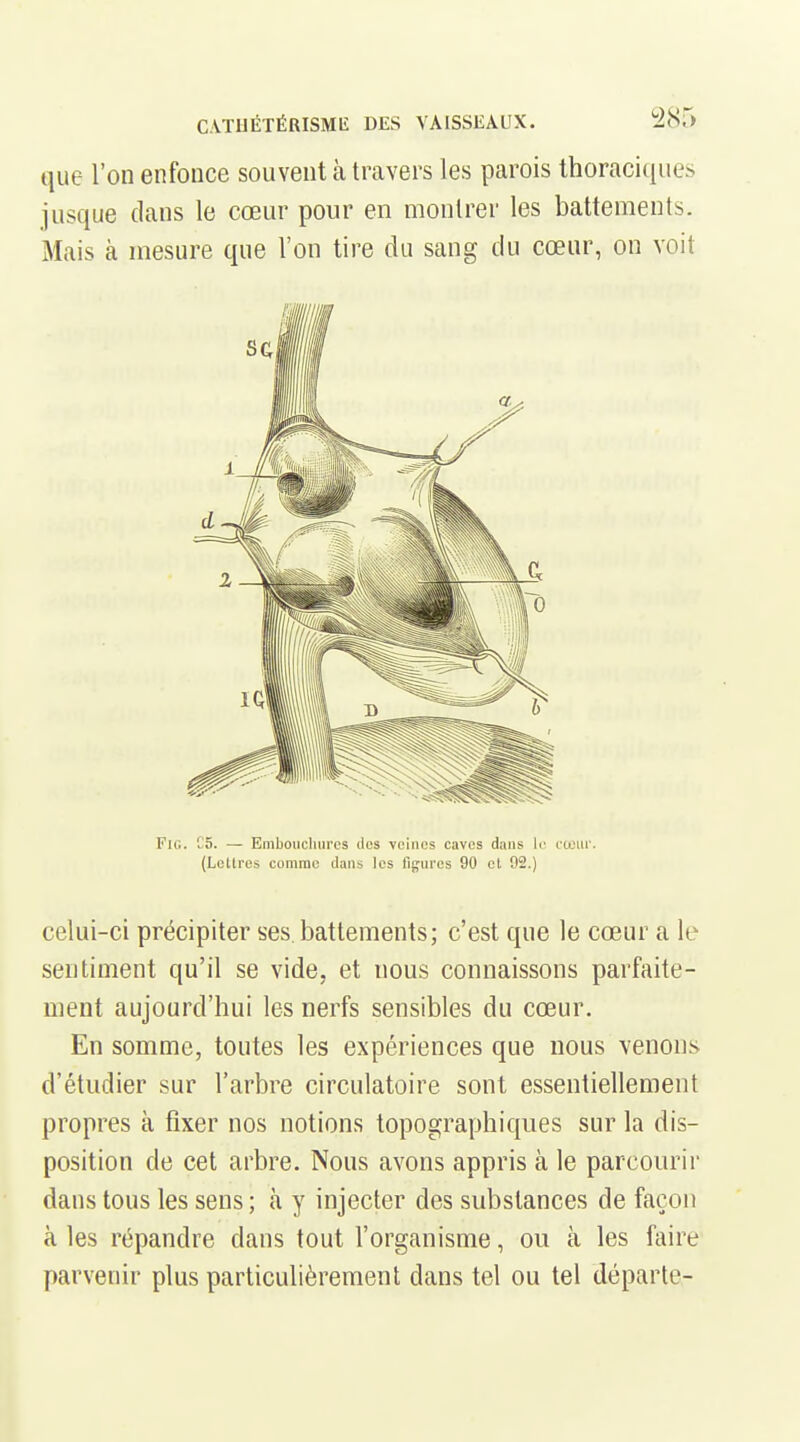que l'on enfonce souvent à travers les parois thoraciciues jusque dans le cœur pour en montrer les battements. Mais à mesure que l'on tire du sang du cœur, on voit Fie. C5. — Emboiicliurcs des veines caves dans li^ cceiir. (Leltres comme dans les figures 90 et 92.) celui-ci précipiter ses battements; c'est que le cœur a le sentiment qu'il se vide, et nous connaissons parfaite- ment aujourd'hui les nerfs sensibles du cœur. En somme, toutes les expériences que nous venons d'étudier sur l'arbre circulatoire sont essentiellement propres à fixer nos notions topographiqiies sur la dis- position de cet arbre. Nous avons appris à le parcourir dans tous les sens; à y injecter des substances de façon à les répandre dans tout l'organisme, ou k les faire parvenir plus particulièrement dans tel ou tel départe-
