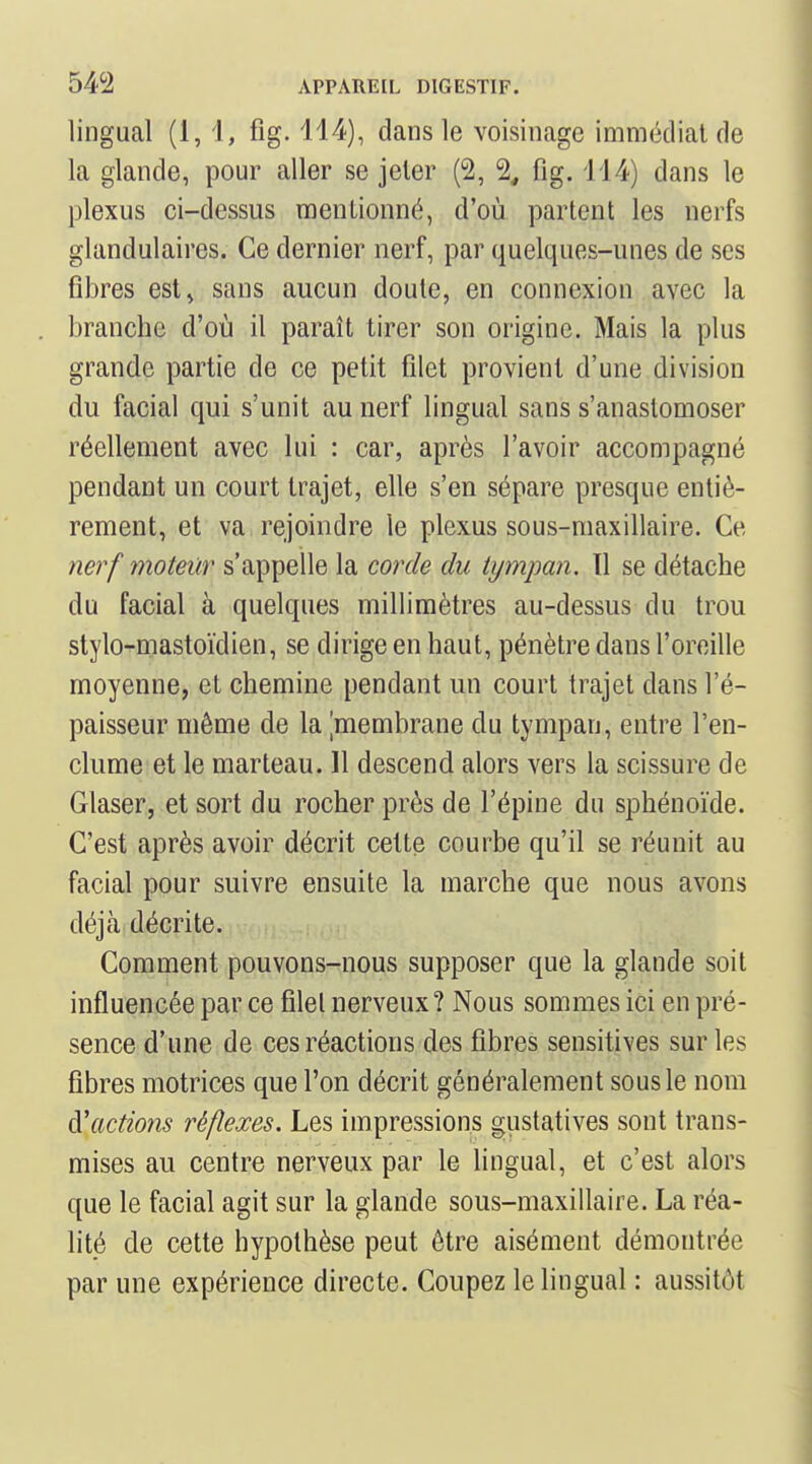 lingual (1, i, fîg. 114), dans le voisinage immédiat de la glande, pour aller se jeter (2, 2, fig. 114) dans le plexus ci-dessus mentionné, d'où partent les nerfs glandulaires. Ce dernier nerf, par quelques-unes de ses fibres est» sans aucun doute, en connexion avec la branche d'où il paraît tirer son origine. Mais la plus grande partie de ce petit filet provient d'une division du facial qui s'unit au nerf lingual sans s'anastomoser réellement avec lui : car, après l'avoir accompagné pendant un court trajet, elle s'en sépare presque entiè- rement, et va rejoindre le plexus sous-maxillaire. Ce ne?'f moteiir s'appelle la corde du tympan. 11 se détache du facial à quelques millimètres au-dessus du trou stylo-mastoïdien, se dirige en haut, pénètre dans l'oreille moyenne, et chemine pendant un court trajet dans l'é- paisseur même de la ^membrane du tympan, entre l'en- clume et le marteau. Il descend alors vers la scissure de Glaser, et sort du rocher près de l'épine du sphénoïde. C'est après avoir décrit cette courbe qu'il se réunit au facial pour suivre ensuite la marche que nous avons déjà décrite. Comment pouvons-nous supposer que la glande soit influencée par ce fîlel nerveux? Nous sommes ici en pré- sence d'une de ces réactions des fibres sensitives sur les fibres motrices que l'on décrit généralement sous le nom ^'actions réflexes. Les impressions giistatives sont trans- mises au centre nerveux par le lingual, et c'est alors que le facial agit sur la glande sous-maxillaire. La réa- lité de cette hypothèse peut être aisément démontrée par une expérience directe. Coupez le lingual : aussitôt