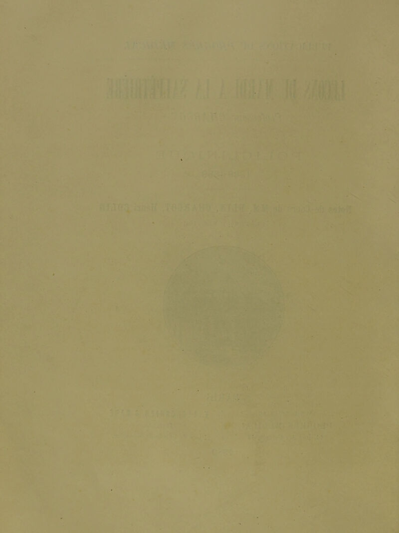 '9k- .V '■ *• r . , . .'c. ■ ,. • V _ '.x-/.i?.L •-' . •. yjmm ■ ■ .'• -BLrJ I7?«*A7
