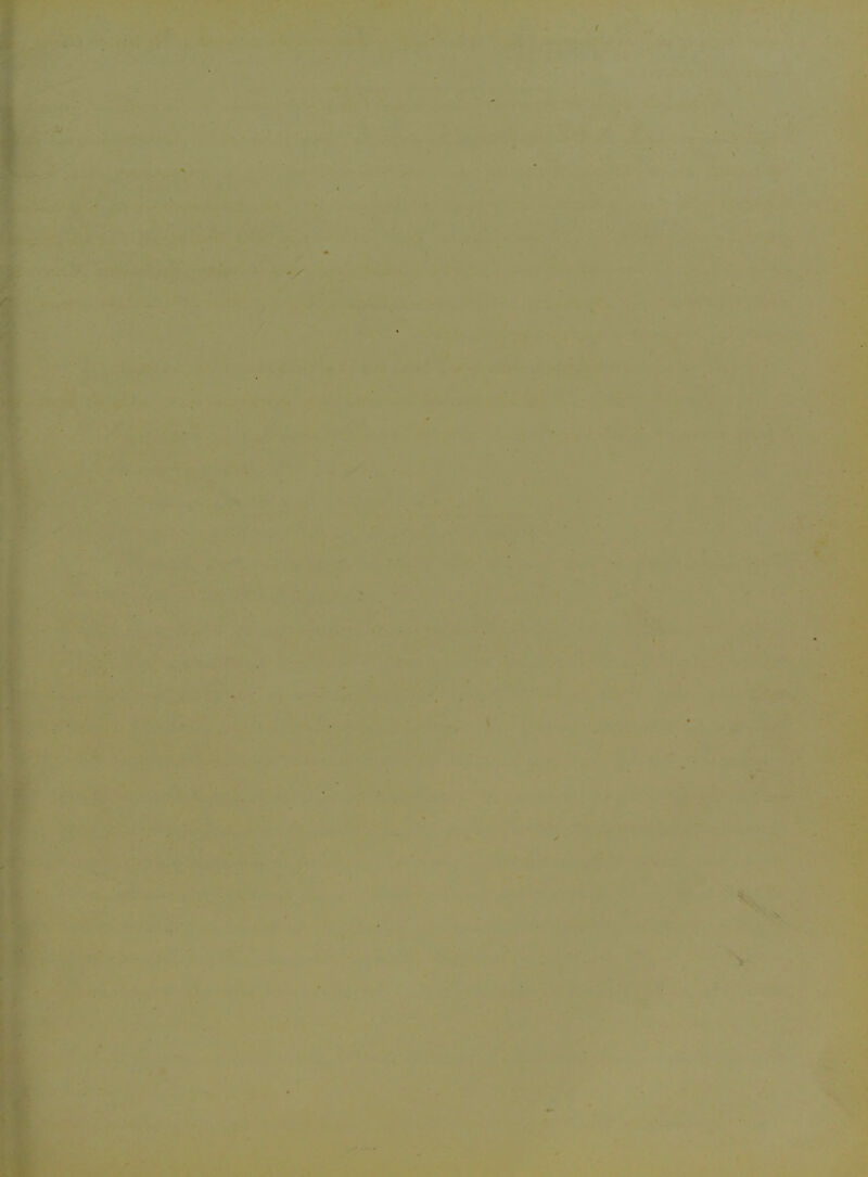 * ’ ^ '’• *‘^v*' 'ik! * V*'’ . *L. • . ik'^^Vv-4 - I'-v'..- ssp®-'-'' ■ • w a.-,-- ■ ■• ' '®t..ft--;' •' . P^^ V .::>?■■•-/'•-■ --I -I--.- ^v 11 ' V2 )#is^ ,'' • 'i ^ ■yf-:i' 1^':<’' A'** ■ V -‘''’.V■ ^■'^*■*■■■.■.^> r-’’- * -■«'■. ‘Vi aS-^ * ‘ • .i^ .'■ • . ^ * ♦ -. . r • . ^ JV *-1 ■ •■ .. =-•■ t- . mV W.-'* ...-v-'^ '“‘■V ^'’ s- '?'■! i’l * ‘i?' - VrL J-. •■A-', . •-.. .y. ^ ‘ ‘  ,' ■: -.,p .■•<if 4^ It > y ■ - ‘ ' V' ■ ■''• L'^'' . • '■ ' •- ' ■'• V .. ^ •'..' '% * 7' ’ ^ ' 'n: .-. ». r* ■r»*. , “<jy. ' A ■ ■ / ~ -.'•1*''^^ * ■' 4 • i . 1 - ^' ’ * •». ' ' :<■- . 'c - . ♦ k-- .J-‘ ■• •' , 5» •- _* “ X . 7' - .4ki> n-»£ :• . ';>■ .Iff li>:^ ,1.. A • * • r^  ”4*4 • m U'- ?r-* > *. • M • - J r ’ / 4# - « f' 4iV »■- a * '.'■' ' * * 1 ^ .1* y '*. '-' , f - -* r - m . * ■x^.vrv; • v»->.'‘'V > '^W r*' •V- _ * j , it' V x'A V .'j» - -^<1 ■ ^^K - : ’. 4/' tVJ-j ^-.y' .-v, :,, . 1 < ‘ L* i ^ ,\ ■-■ 1