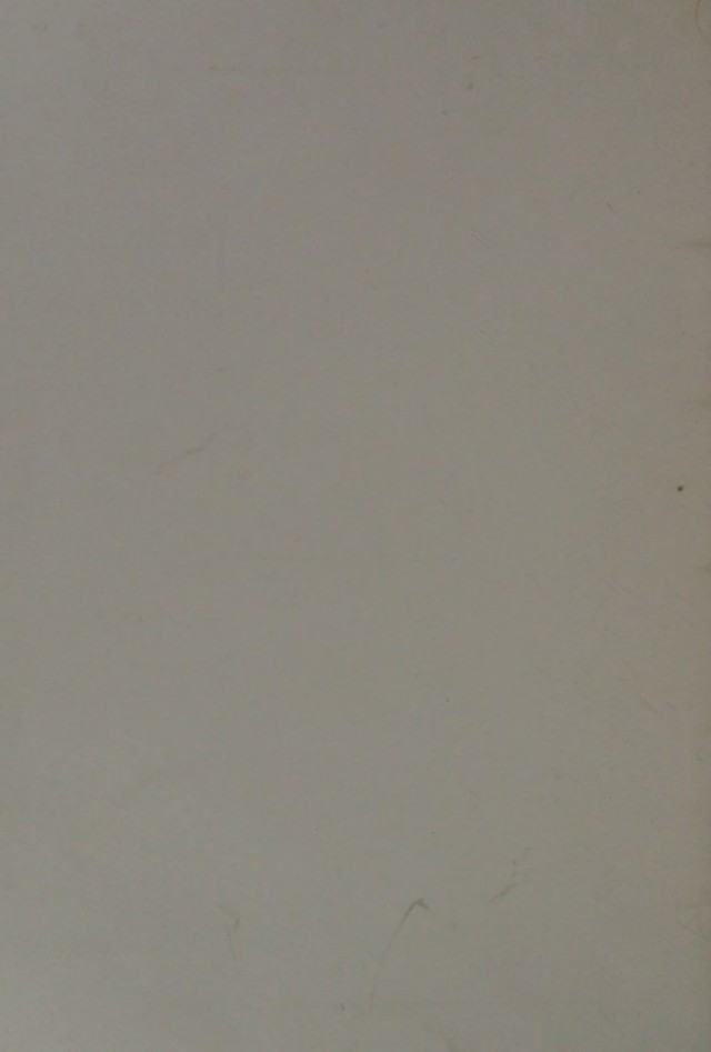 digitised image 2