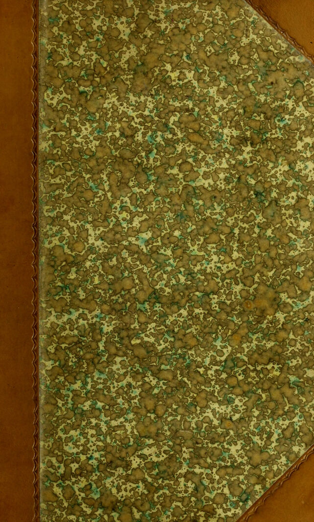 digitised image 1