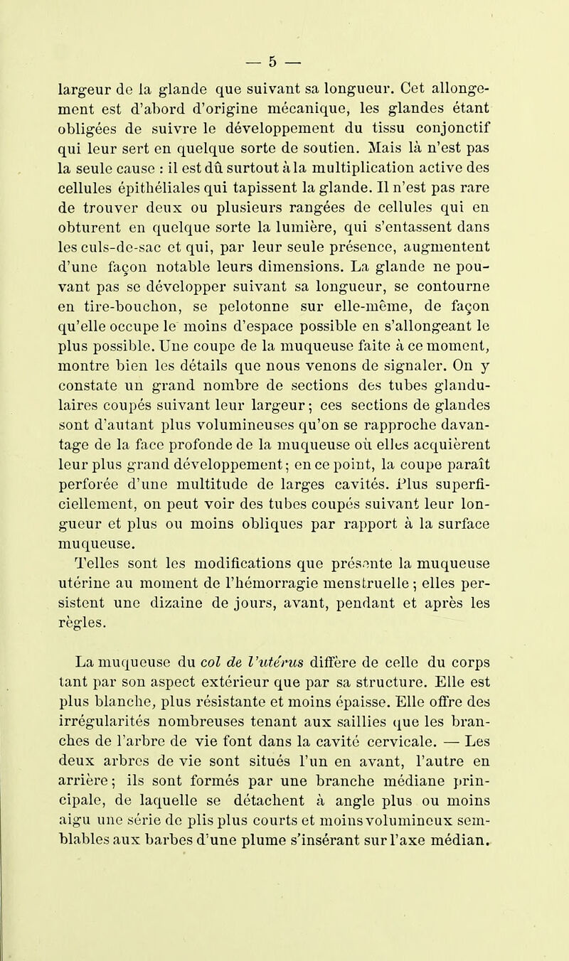 largeur de la glande que suivant sa longueur. Cet allonge- ment est d'abord d'origine mécanique, les glandes étant obligées de suivre le développement du tissu conjonctif qui leur sert en quelque sorte de soutien. Mais là n'est pas la seule cause : il est dû surtout à la multiplication active des cellules épitbéliales qui tapissent la glande. Il n'est pas rare de trouver deux ou plusieurs rangées de cellules qui en obturent en quelque sorte la lumière, qui s'entassent dans les culs-de-sac et qui, par leur seule présence, augmentent d'une façon notable leurs dimensions. La glande ne pou- vant pas se développer suivant sa longueur, se contourne en tire-bouclion, se pelotonne sur elle-même, de façon qu'elle occupe le moins d'espace possible en s'allongeant le plus possible. Une coupe de la muqueuse faite à ce moment, montre bien les détails que nous venons de signaler. On y constate un grand nombre de sections des tubes glandu- laires coupés suivant leur largeur ; ces sections de glandes sont d'autant plus volumineuses qu'on se rapproche davan- tage de la face profonde de la muqueuse où elles acquièrent leur plus grand développement; en ce point, la coupe paraît perforée d'une multitude de larges cavités. Plus superfi- ciellement, on peut voir des tubes coupés suivant leur lon- gueur et plus ou moins obliques par rapport à la surface muqueuse. Telles sont les modifications que présente la muqueuse utérine au moment de l'hémorragie menstruelle -, elles per- sistent une dizaine de jours, avant, pendant et après les règles. La muqueuse du col de l'utérus diffère de celle du corps tant par son aspect extérieur que par sa structure. Elle est plus blanche, plus résistante et moins é^jaisse. Elle offre des irrégularités nombreuses tenant aux saillies que les bran- ches de l'arbre de vie font dans la cavité cervicale. — Les deux arbres de vie sont situés l'un en avant, l'autre en arrière ; ils sont formés par une branche médiane prin- cipale, de laquelle se détachent à angle plus ou moins aigu une série de plis plus courts et moins volumineux sem- blables aux barbes d'une plume s'insérant sur l'axe médian.