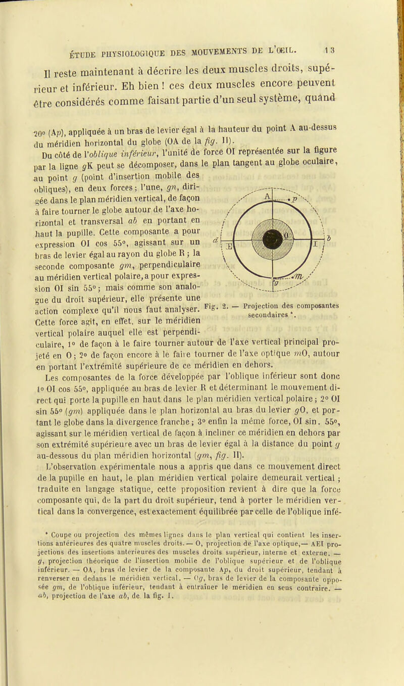 Projecliou des composantes secondaires '. ÉTUDE PUYSIOLOGIQUE DES iMOUVEMENTS DE L'oEIL, 1 3 Il reste maintenant à décrire les deux muscles droits, supé- rieur et inférieur. Eh bien ! ces deux muscles encore peuvent éfre considérés comme faisant partie d'un seul système, quand W> (Ap), appliquée à un bras de levier égal à la hauteur du point A au-dessus (lu méridien horizontal du globe (OA de la fig. 11). Du côté de Voblique inférieur, l'unité de force 01 représentée sur la figure par la ligne gK peut se décomposer, dans le plan tangent au globe oculaire, au point g (point d'insertion mobile des obliques), en deux forces; l'une, gn, diri- gée dans le plan méridien vertical, de façon à faire tourner le globe autour de l'axe ho- rizontal et transversal ab en portant en haut la pupille. Cette composante a pour expression 01 cos 55°. agissant sur un bras de levier égal au rayon du globe R ; la seconde composante gm, perpendiculaire au méridien vertical polaire,a pour expres- sion 01 sin 650. mais comme son analo- gue du droit supérieur, elle présente une action complexe qu'il nous faut analyser. ^'S- Cette force agit, en effet, sur le méridien vertical polaire auquel elle est perpendi- culaire, 1° de façon à le faire tourner autour de l'axe vertical principal pro- jeté en 0 ; 20 de façon encore à le faire tourner de l'axe optique mO, autour en portant l'extrémité supérieure de ce méridien en dehors. Les composantes de la force développée par l'oblique inférieur sont donc 10 01 cos 550, appliquée au bras de levier R et déterminant le mouvement di- rect qui porte la pupille en haut dans le plan méridien vertical polaire ; 2° 01 sin 550 {gm] appliquée dans le plan horizontal au bras du levier gO, et por- tant le globe dans la divergence franche ; 30 enfin la même force, 01 sin. 55o, agissant sur le méridien vertical de façon à incliner ce méridien en deliors par son extrémité supérieure avec un bras de levier égal à la distance du point g au-dessous du plan méridien horizontal [gm, fig. H). L'observation expérimentale nous a appris que dans ce mouvement direct de la pupille en haut, le plan méridien vertical polaire demeurait vertical ; traduite en langage statique, cette proposition revient à dire que la force composante qui, de la part du droit supérieur, tend à porter le méridien ver- tical dans la convergence, est exactement équilibrée parcelle de l'oblique infé- • Coupe ou projection des mêmes lignes dans le plan vertical qui contient les inser- tions antérieures des quatre muscles droits— 0, projection de l'axe optique,— AEI pro- jections des insertions antérieures des muscles droits supérieur, interne et externe. g, projecîion théorique de l'insertion mobile de l'oblique supérieur et de l'oblique inférieur. — OA, bras de levier de la composante Ap, du droit supérieur, tendant à renverser en dedans le méridien vertical. — (fg, bras de levier de la composanle oppo- sée gm, de l'oblique inférieur, tendant à entraîner le méridien en sens contraire. ab, projection de l'axe ab, de la fig. I.