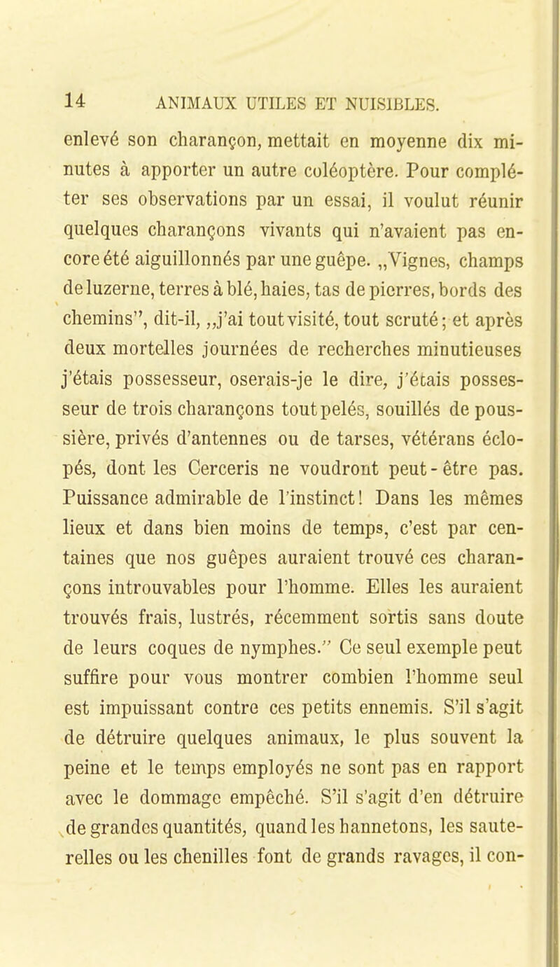 enlevé son charançon, mettait en moyenne dix mi- nutes à apporter un autre coléoptère. Pour complé- ter ses observations par un essai, il voulut réunir quelques charançons vivants qui n'avaient pas en- core été aiguillonnés par une guêpe. „Vignes, champs de luzerne, terres à blé, haies, tas de pierres, bords des chemins, dit-il, „j'ai tout visité, tout scruté; et après deux mortelles journées de recherches minutieuses j'étais possesseur, oserais-je le dire, j'étais posses- seur de trois charançons tout pelés, souillés de pous- sière, privés d'antennes ou de tarses, vétérans éclo- pés, dont les Cerceris ne voudront peut - être pas. Puissance admirable de l'instinct ! Dans les mêmes lieux et dans bien moins de temps, c'est par cen- taines que nos guêpes auraient trouvé ces charan- çons introuvables pour l'homme. Elles les auraient trouvés frais, lustrés, récemment sortis sans doute de leurs coques de nymphes. Ce seul exemple peut suffire pour vous montrer combien l'homme seul est impuissant contre ces petits ennemis. S'il s'agit de détruire quelques animaux, le plus souvent la peine et le temps employés ne sont pas en rapport avec le dommage empêché. S'il s'agit d'en détruire ^de grandes quantités, quand les hannetons, les saute- relles ou les chenilles font de grands ravages, il con-