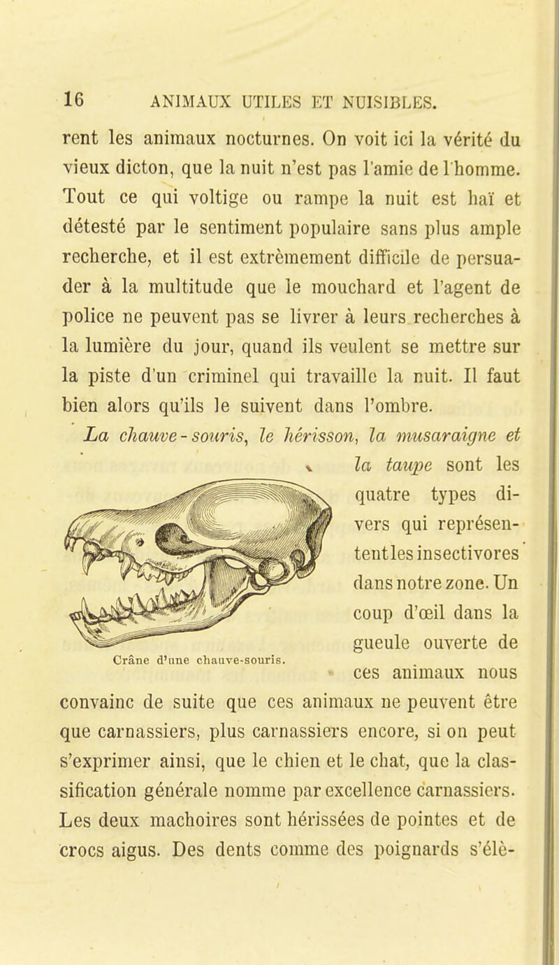 rent les animaux nocturnes. On voit ici la vérité du vieux dicton, que la nuit n'est pas l'amie de I homme. Tout ce qui voltige ou rampe la nuit est haï et détesté par le sentiment populaire sans plus ample recherche, et il est extrêmement difficile de persua- der à la multitude que le mouchard et l'agent de police ne peuvent pas se livrer à leurs recherches à la lumière du jour, quand ils veulent se mettre sur la piste d'un criminel qui travaille la nuit. Il faut bien alors qu'ils le suivent dans l'ombre. La chauve - souris^ le hérisson^ la musaraigne et la taupe sont les quatre types di- vers qui représen- tentles insectivores dans notre zone. Un coup d'œil dans la gueule ouverte de ces animaux nous convainc de suite que ces animaux ne peuvent être que carnassiers, plus carnassiers encore, si on peut s'exprimer ainsi, que le chien et le chat, que la clas- sification générale nomme par excellence carnassiers. Les deux mâchoires sont hérissées de pointes et de crocs aigus. Des dents comme des poignards s'élè-