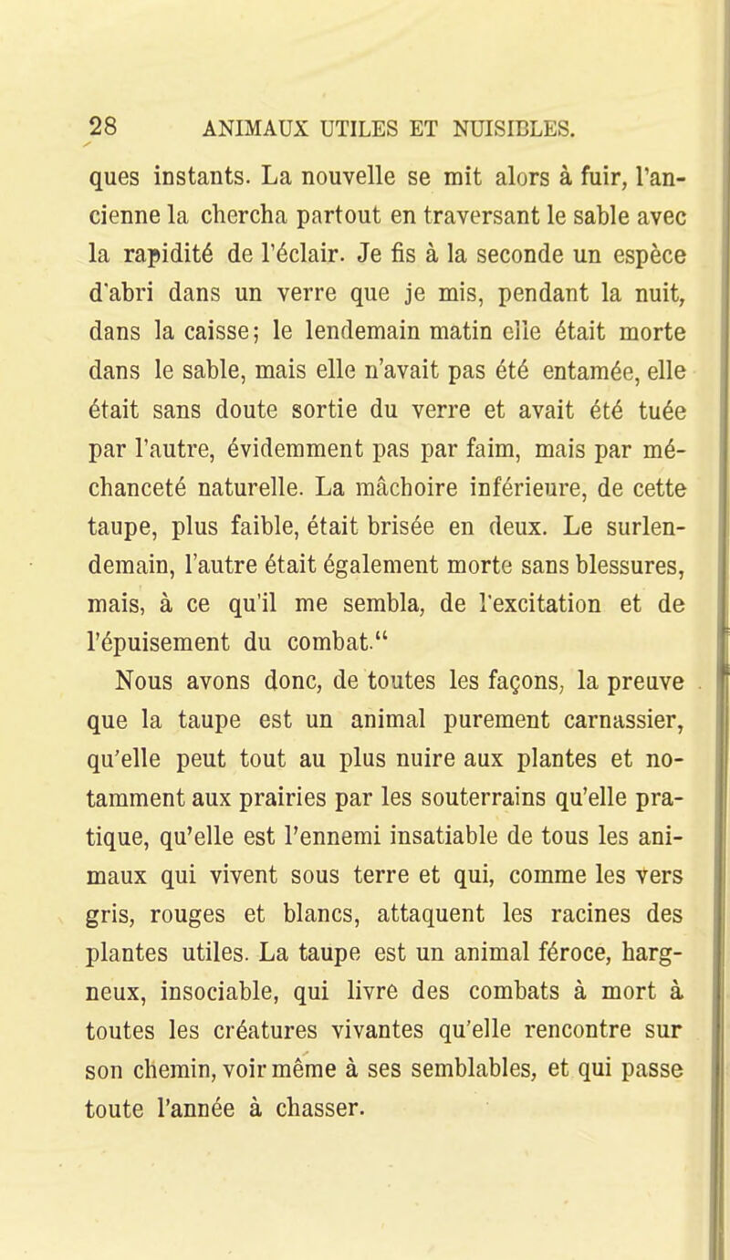 ques instants. La nouvelle se mit alors à fuir, l'an- cienne la chercha partout en traversant le sable avec la rapidité de Téclair. Je fis à la seconde un espèce d'abri dans un verre que je mis, pendant la nuit^ dans la caisse ; le lendemain matin elle était morte dans le sable, mais elle n'avait pas été entamée, elle était sans doute sortie du verre et avait été tuée par l'autre, évidemment pas par faim, mais par mé- chanceté naturelle. La mâchoire inférieure, de cette taupe, plus faible, était brisée en deux. Le surlen- demain, l'autre était également morte sans blessures, mais, à ce qu'il me sembla, de l'excitation et de l'épuisement du combat. Nous avons donc, de toutes les façons, la preuve que la taupe est un animal purement carnassier, qu'elle peut tout au plus nuire aux plantes et no- tamment aux prairies par les souterrains qu'elle pra- tique, qu'elle est l'ennemi insatiable de tous les ani- maux qui vivent sous terre et qui, comme les vers gris, rouges et blancs, attaquent les racines des plantes utiles. La taupe est un animal féroce, harg- neux, insociable, qui livre des combats à mort à toutes les créatures vivantes qu'elle rencontre sur son chemin, voir même à ses semblables, et qui passe toute l'année à chasser.