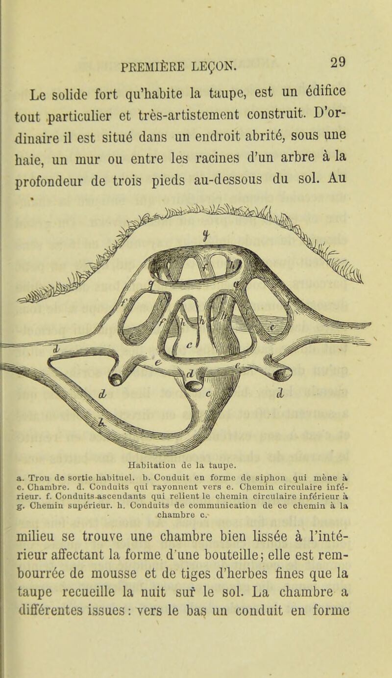 Le solide fort qu'habite la taupe, est un édifice tout particulier et très-artistement construit. D'or- dinaire il est situé dans un endroit abrité, sous une haie, un mur ou entre les racines d'un arbre à la profondeur de trois pieds au-dessous du sol. Au Habitation de la taupe. a. Trou de sortie habituel, b. Conduit en forme de siphon qui mène à c. Chambre, d. Conduits qui rayonnent vers e. Chemin circulaire infé- ; ieur. f. Conduits.ascendants qui relient le chemin circulaire inférieur à Chemin supérieur, h. Conduits de communication de ce chemin à la chambre c. milieu se trouve une chambre bien lissée à l'inté- rieur affectant la forme dune bouteille; elle est rem- bourrée de mousse et de tiges d'herbes fines que la taupe recueille la nuit sur le sol. La chambre a différentes issues : vers le bas un conduit en forme