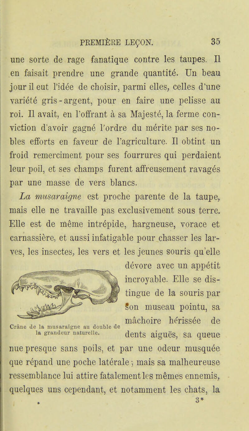 une sorte de rage fanatique contre les taupes. Il en faisait prendre une grande quantité. Un beau jour il eut l'idée de choisir, parmi elles, celles d'une variété gris-argent, pour en faire une pelisse au roi. Il avait, en l'offrant à sa Majesté, la ferme con- viction d'avoir gagné Tordre du mérite par ses no- bles efforts en faveur de l'agriculture. Il obtint un froid remerciment pour ses fourrures qui perdaient leur poil, et ses champs furent affreusement ravagés par une masse de vers blancs. La musaraigne est proche parente de la taupe, mais elle ne travaille pas exclusivement sous terre. Elle est de même intrépide, hargneuse, vorace et carnassière, et aussi infatigable pour chasser les lar- ves, les insectes, les vers et les jeunes souris qu'elle nue presque sans poils, et par une odeur musquée que répand une poche latérale -, mais sa malheureuse ressemblance lui attire fatalement les mêmes ennemis, quelques uns cependant, et notamment les chats, la Crâne de la musaraigne an double de la grandeur naturelle. dévore avec un appétit incroyable. Elle se dis- tingue de la souris par Son museau pointu, sa mâchoire hérissée de dents aiguës, sa queue