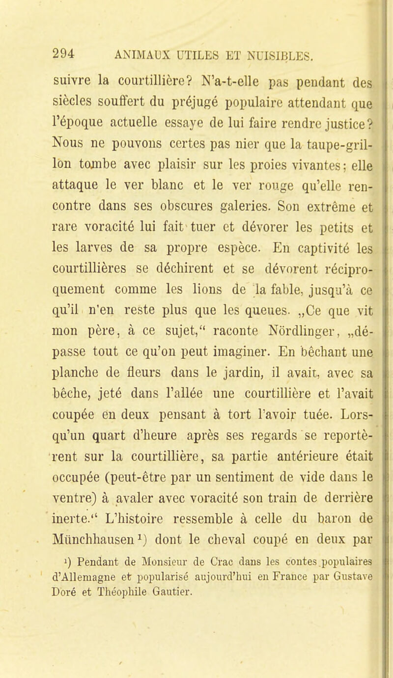 suivre la courtillière? NVt-elle pas pendant des siècles souffert du préjugé populaire attendant que l'époque actuelle essaye de lui faire rendre justice? Nous ne pouvons certes pas nier que la taupe-gril- lon tojnbe avec plaisir sur les proies vivantes ; elle attaque le ver blanc et le ver rouge qu'elle ren- contre dans ses obscures galeries. Son extrême et rare voracité lui fait tuer et dévorer les petits et les larves de sa propre espèce. En captivité les courtillières se déchirent et se dévorent récipro- quement comme les lions de la fable, jusqu'à ce qu'il n'en reste plus que les queues. „Ce que vit mon père, à ce sujet, raconte Nordlinger, „dé- passe tout ce qu'on peut imaginer. En bêchant une. planche de fleurs dans le jardin, il avait, avec sa bêche, jeté dans l'allée une courtillière et l'avait coupée en deux pensant à tort l'avoir tuée. Lors- qu'un quart d'heure après ses regards se reportè- rent sur la courtillière, sa partie antérieure était occupée (peut-être par un sentiment de vide dans le ventre) à avaler avec voracité son train de derrière inerte.'' L'histoire ressemble à celle du baron de Miinchhausen 1) dont le cheval coupé en deux par 1) Pendant de Monsieur de Crac dans les contes.populaires d'Allemagne et popularisé aujourd'hui en France par Gustave Doré et Théophile Gautier.