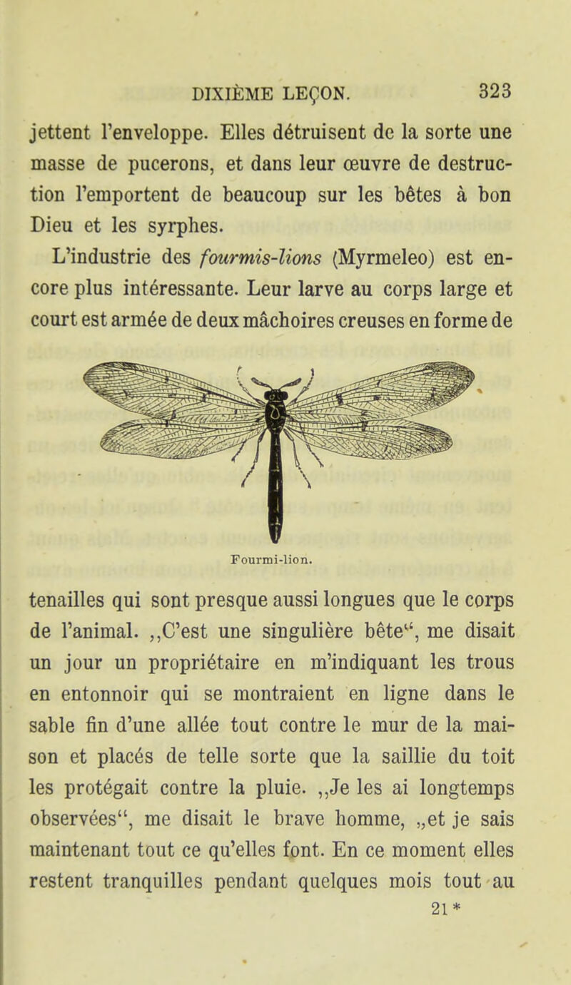 jettent l'enveloppe. Elles détruisent de la sorte une masse de pucerons, et dans leur œuvre de destruc- tion l'emportent de beaucoup sur les bêtes à bon Dieu et les syrphes. L'industrie des fourmis-lions (Myrmeleo) est en- core plus intéressante. Leur larve au corps large et court est armée de deux mâchoires creuses en forme de Fourmi-lion. tenailles qui sont presque aussi longues que le corps de l'animal. C'est une singulière bête-', me disait un jour un propriétaire en m'indiquant les trous en entonnoir qui se montraient en ligne dans le sable fin d'une allée tout contre le mur de la mai- son et placés de telle sorte que la saillie du toit les protégait contre la pluie. ,,Je les ai longtemps observées, me disait le brave homme, „et je sais maintenant tout ce qu'elles font. En ce moment elles restent tranquilles pendant quelques mois tout au 21*