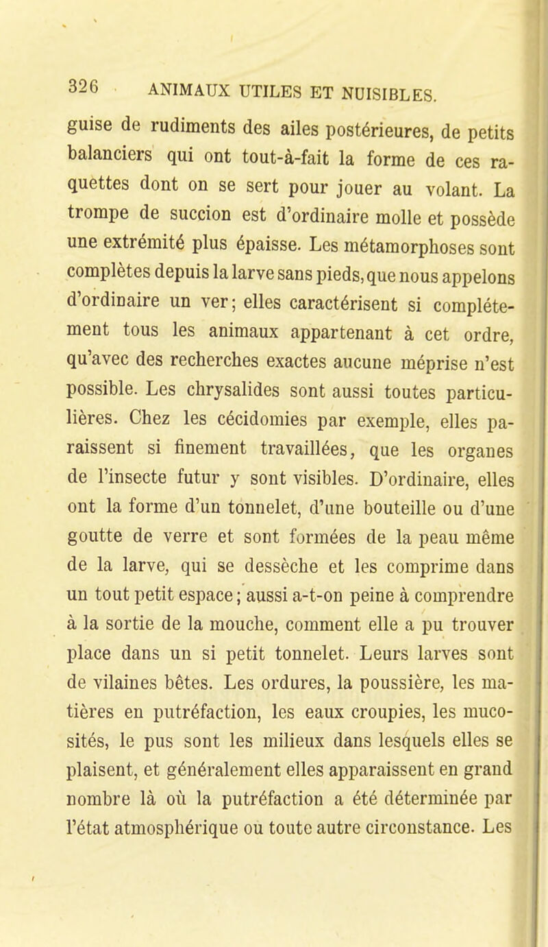 guise de rudiments des ailes postérieures, de petits balanciers qui ont tout-à-fait la forme de ces ra- quettes dont on se sert pour jouer au volant. La trompe de succion est d'ordinaire molle et possède une extrémité plus épaisse. Les métamorphoses sont complètes depuis la larve sans pieds, que nous appelons d'ordinaire un ver; elles caractérisent si complète- ment tous les animaux appartenant à cet ordre, qu'avec des recherches exactes aucune méprise n'est possible. Les chrysalides sont aussi toutes particu- lières. Chez les cécidomies par exemple, elles pa- raissent si finement travaillées, que les organes de l'insecte futur y sont visibles. D'ordinaire, elles ont la forme d'un tonnelet, d'une bouteille ou d'une goutte de verre et sont formées de la peau même de la larve, qui se dessèche et les comprime dans un tout petit espace ; aussi a-t-on peine à comprendre à la sortie de la mouche, comment elle a pu trouver place dans un si petit tonnelet. Leurs larves sont de vilaines bêtes. Les ordures, la poussière, les ma- tières en putréfaction, les eaux croupies, les muco- sités, le pus sont les milieux dans lesquels elles se plaisent, et généralement elles apparaissent en grand nombre là où la putréfaction a été déterminée par l'état atmosphérique ou toute autre circonstance. Les